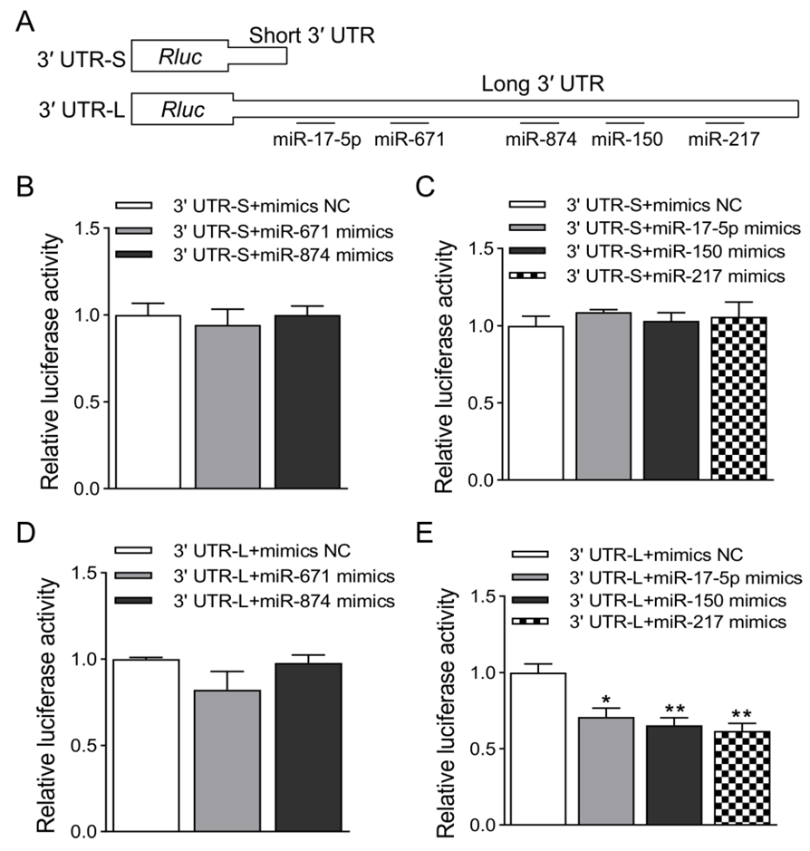 Animals 13 03075 g004