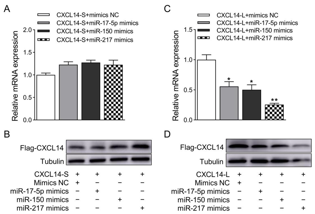 Animals 13 03075 g005