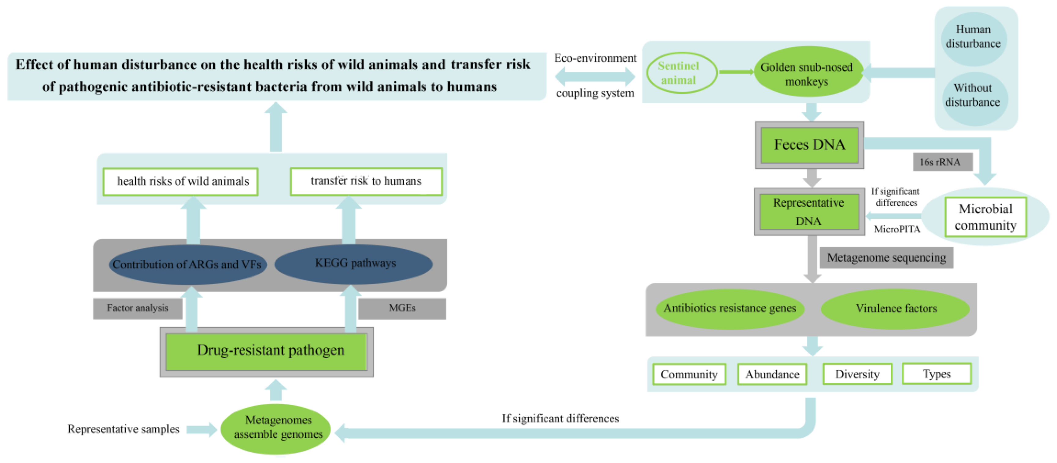 Animals 13 03083 g002