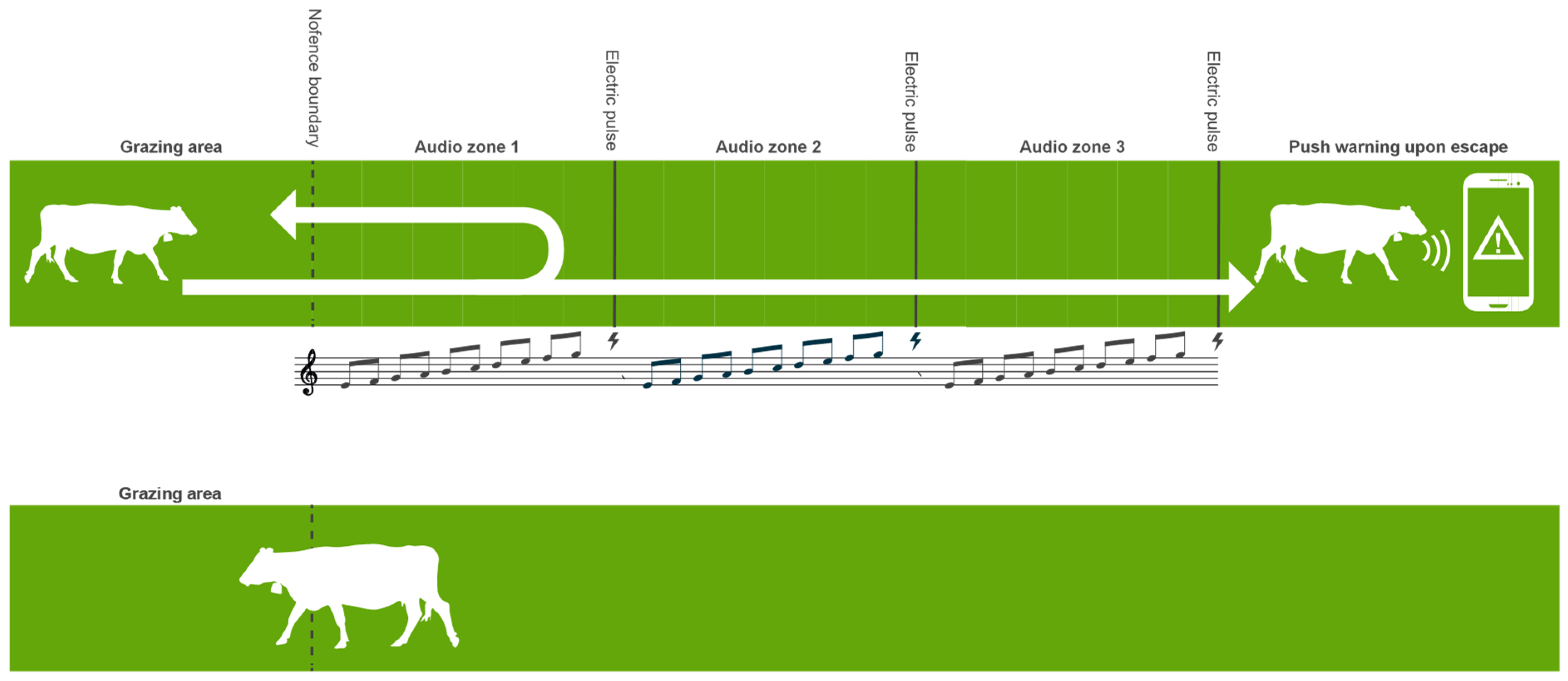 Animals 13 03084 g001