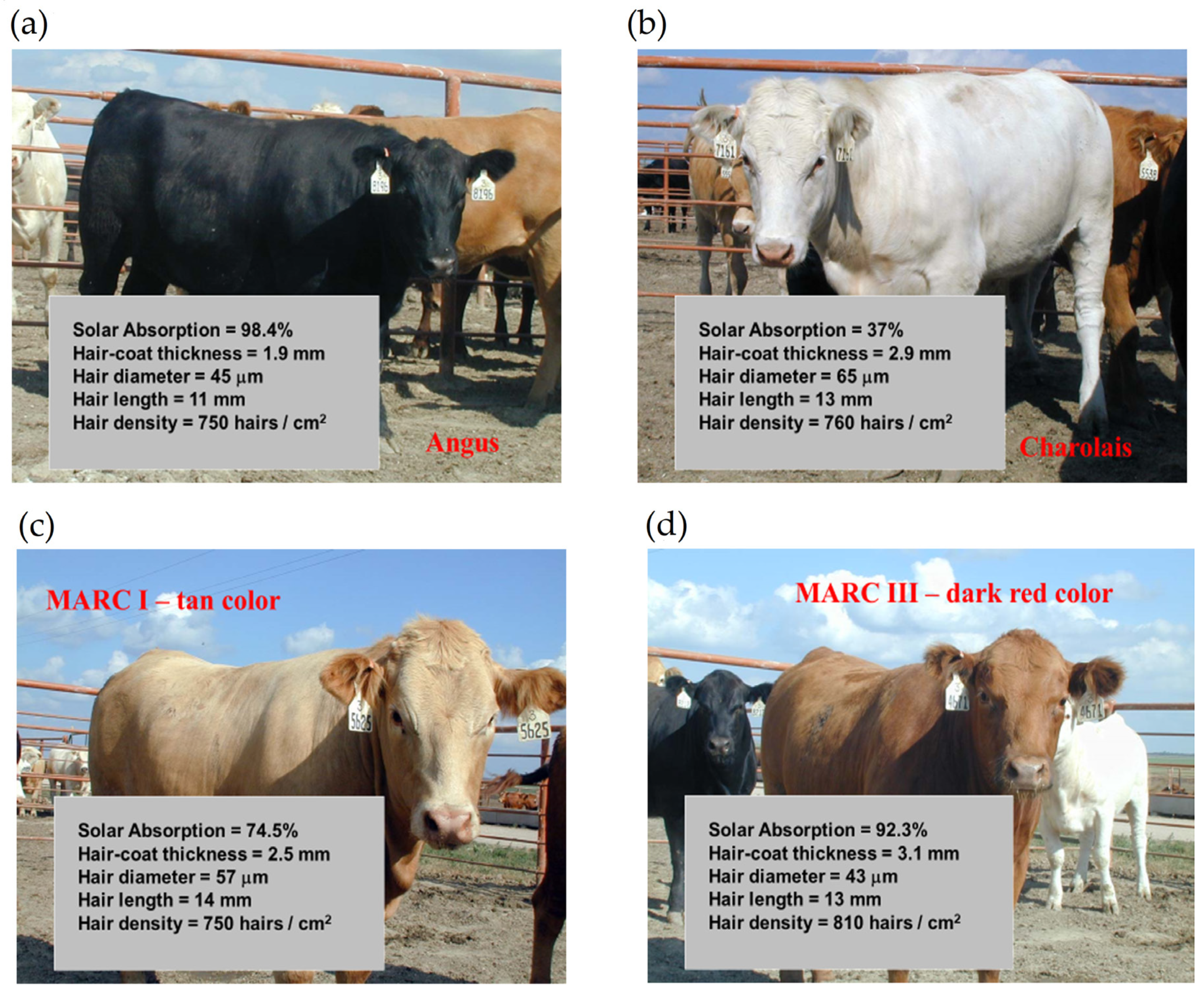 Animals 13 03087 g001