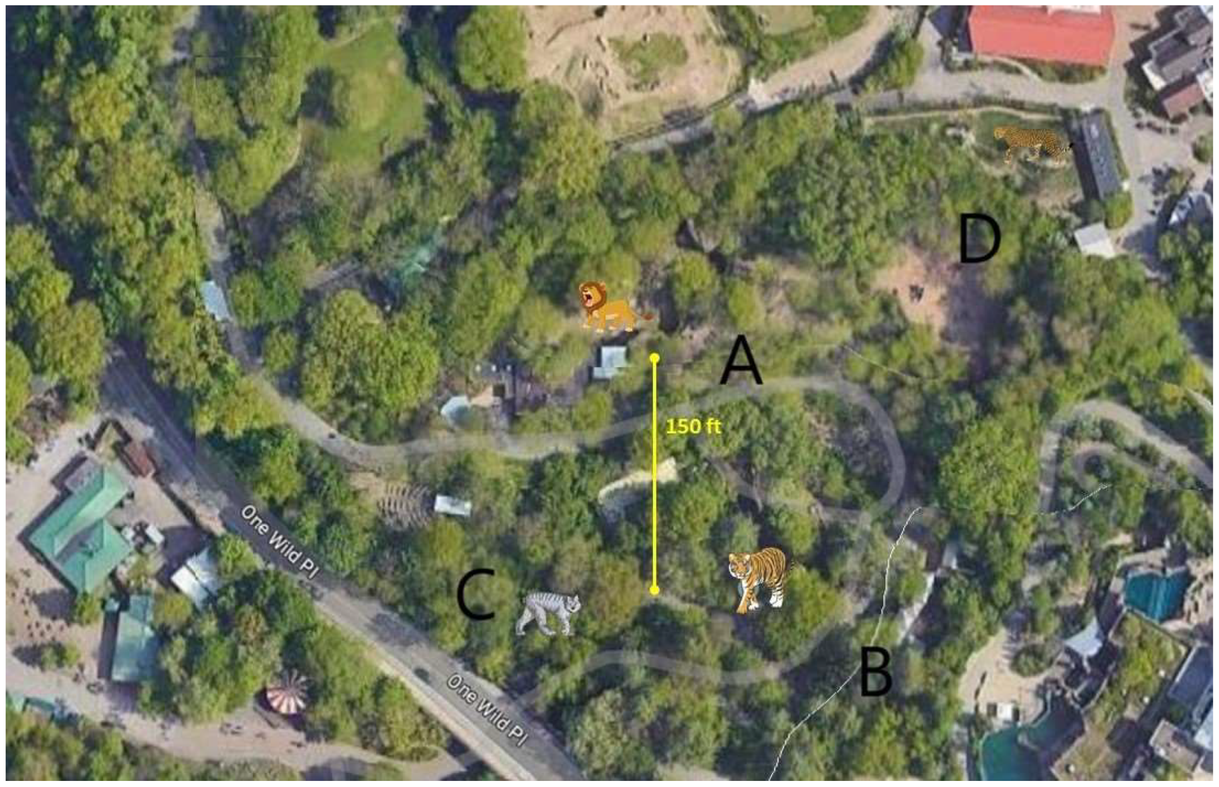 Animals 13 03094 g001 Animals 13 03094 g001