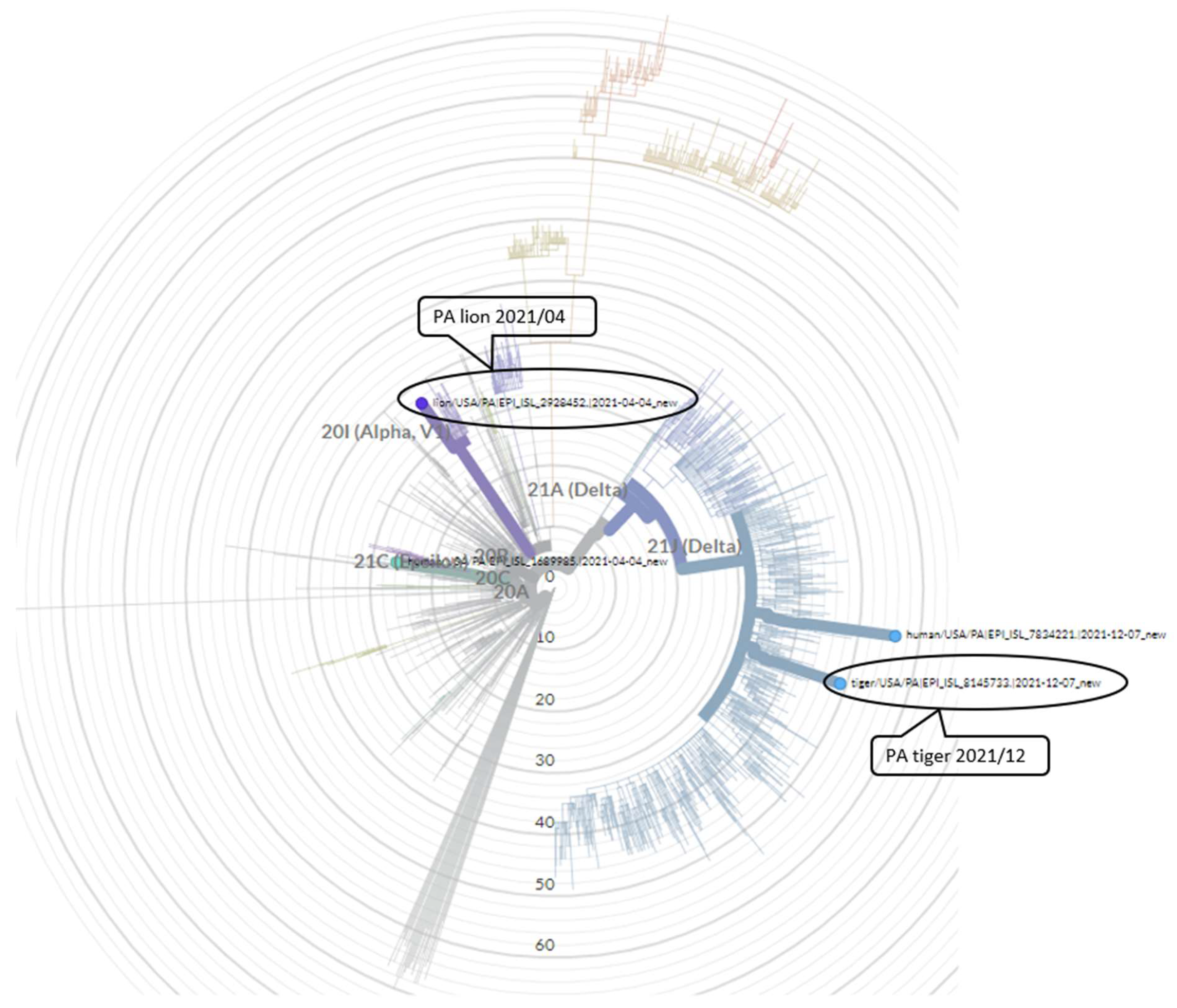 Animals 13 03094 g003 Animals 13 03094 g003