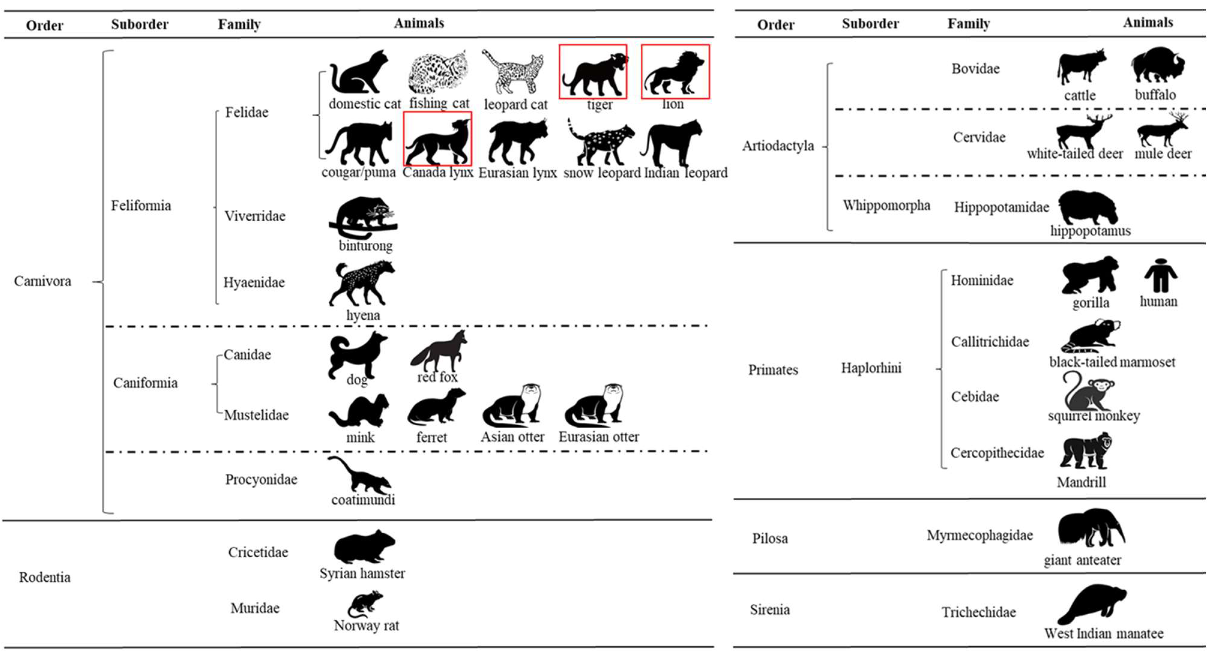 Animals 13 03094 g006 Animals 13 03094 g006