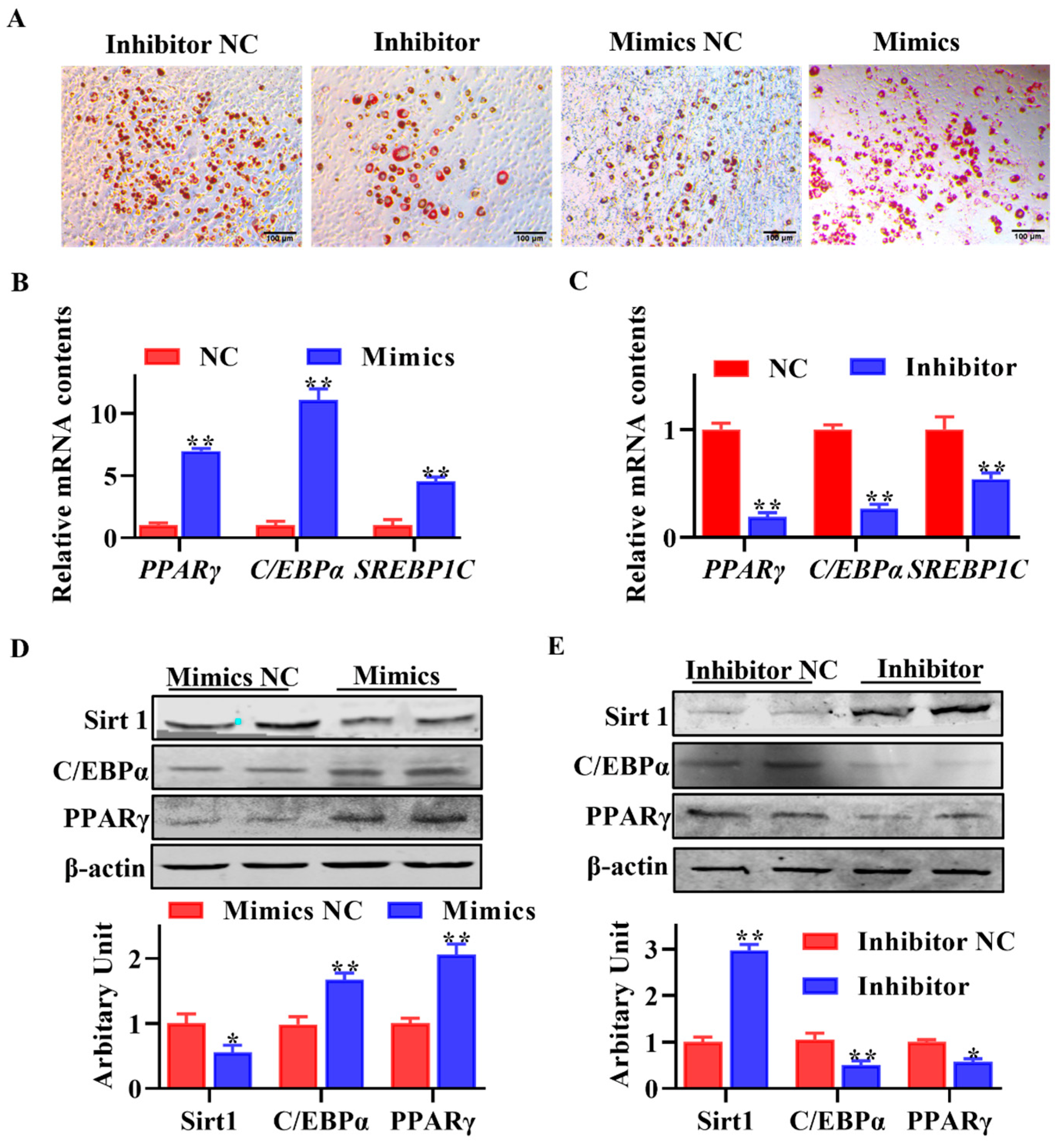 Animals 13 03108 g005
