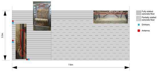 Animals 13 03112 g0a1