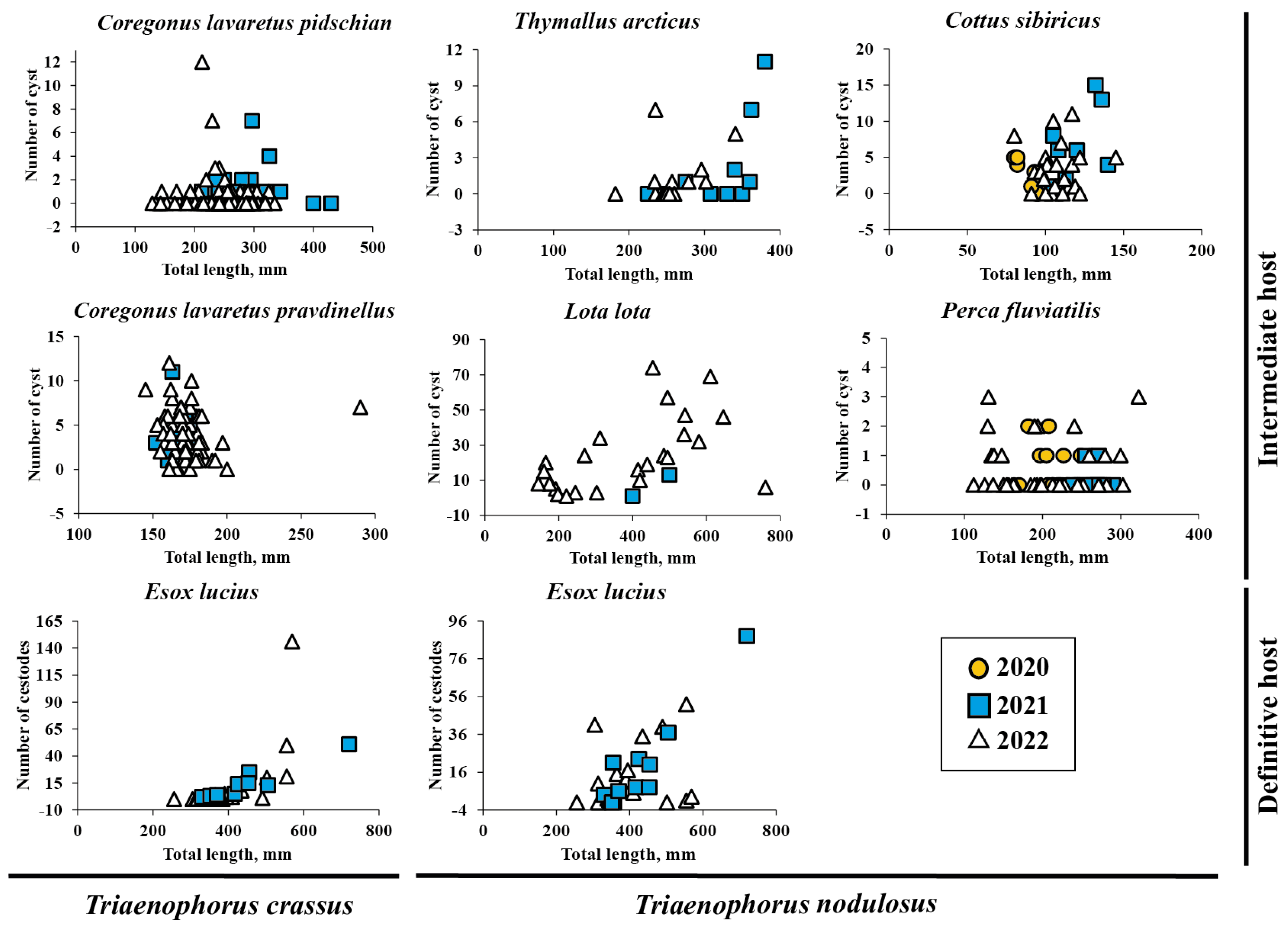 Animals 13 03122 g002