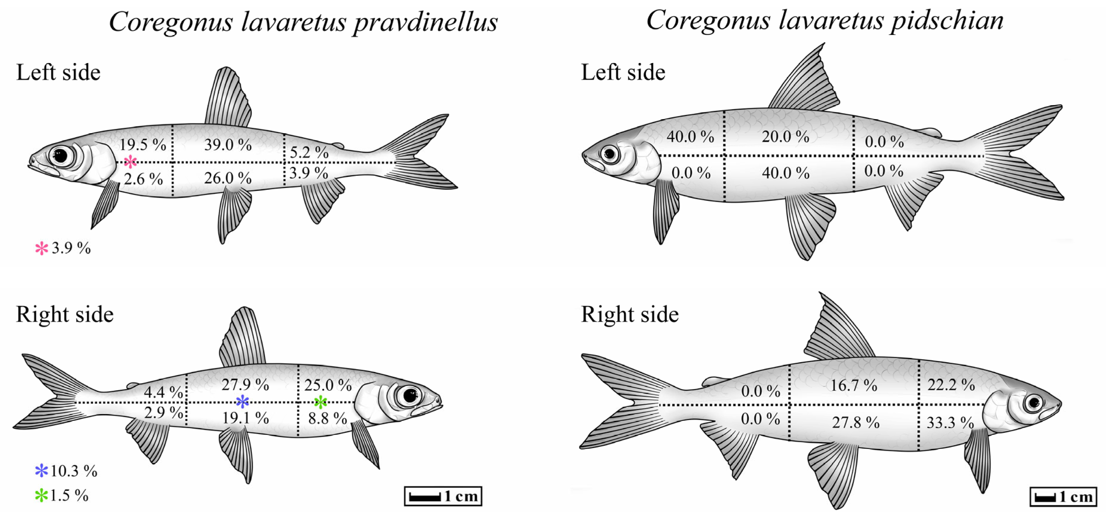 Animals 13 03122 g008