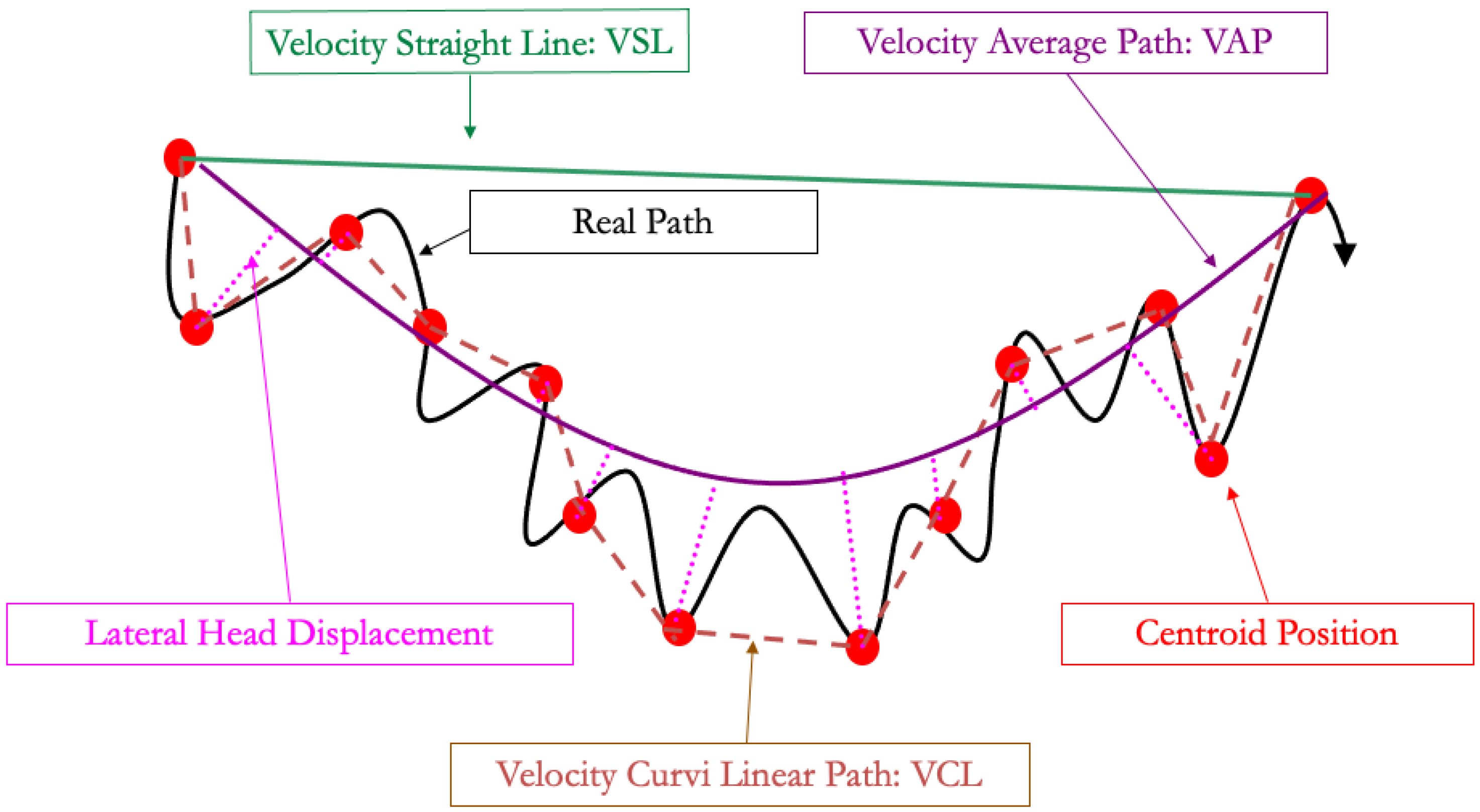Animals 13 03123 g002
