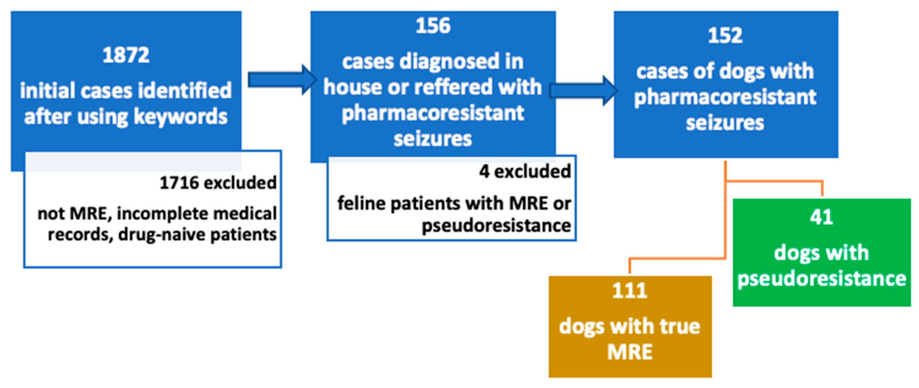 Animals 13 03125 g002