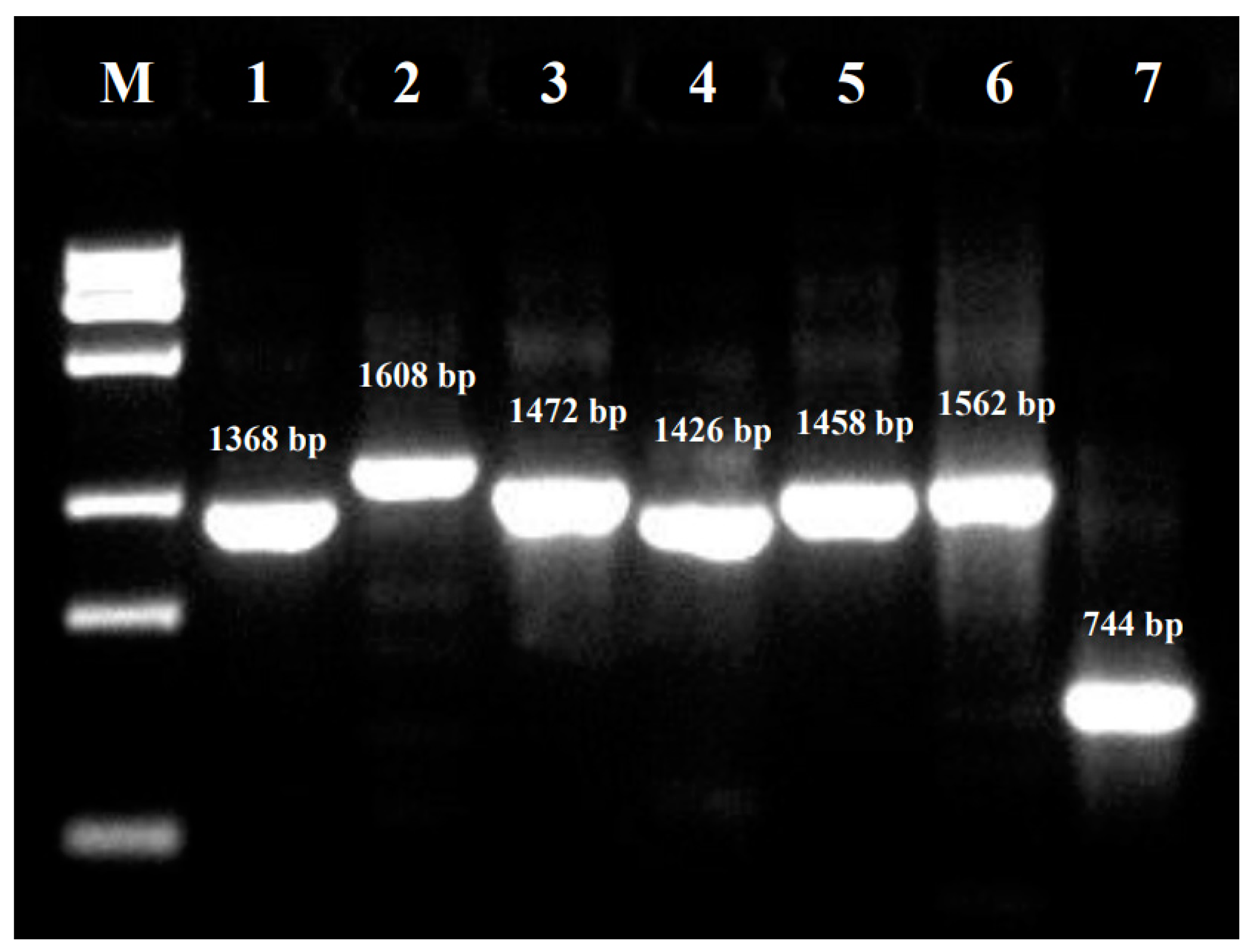 Animals 13 03129 g001