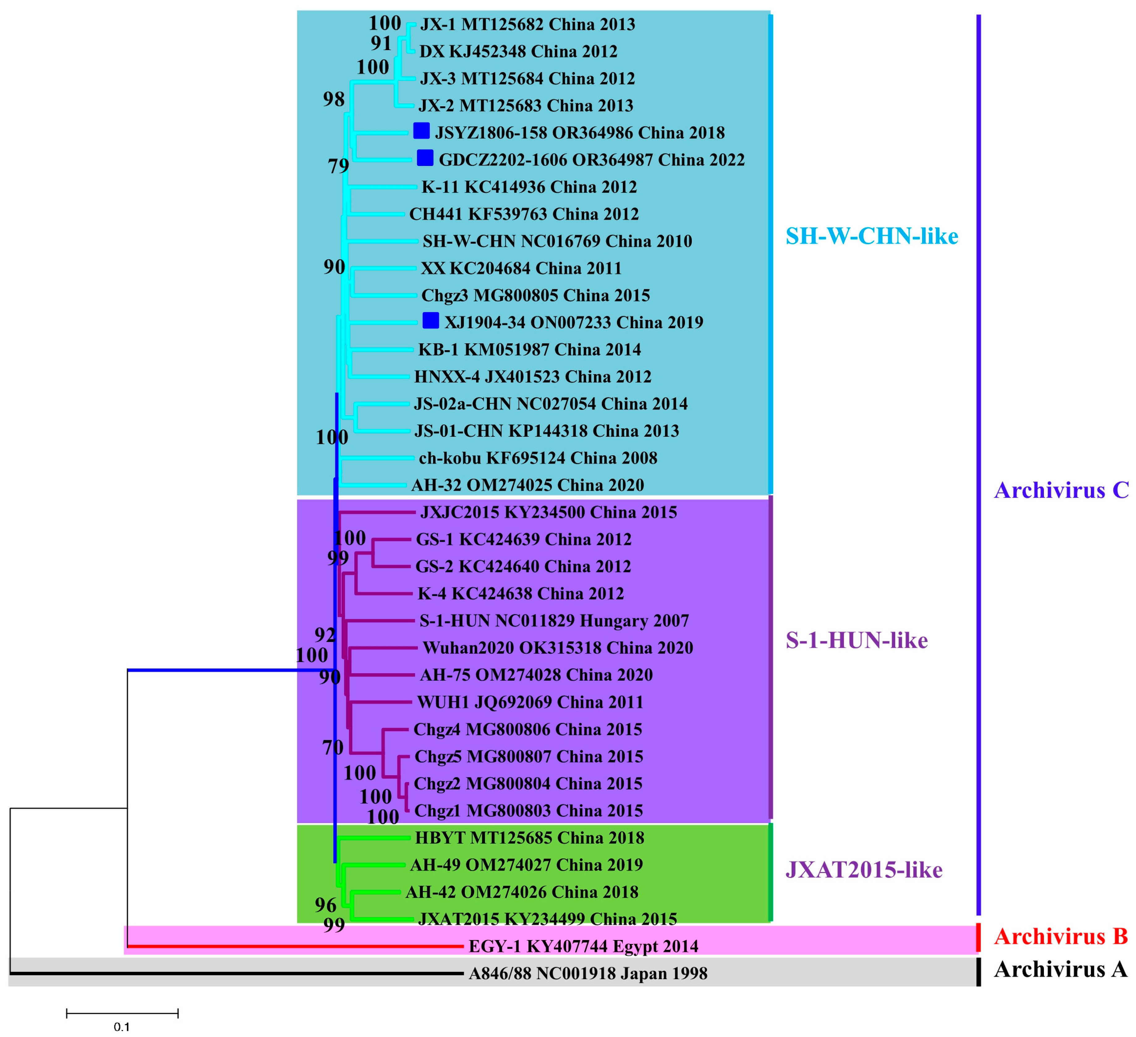 Animals 13 03129 g004