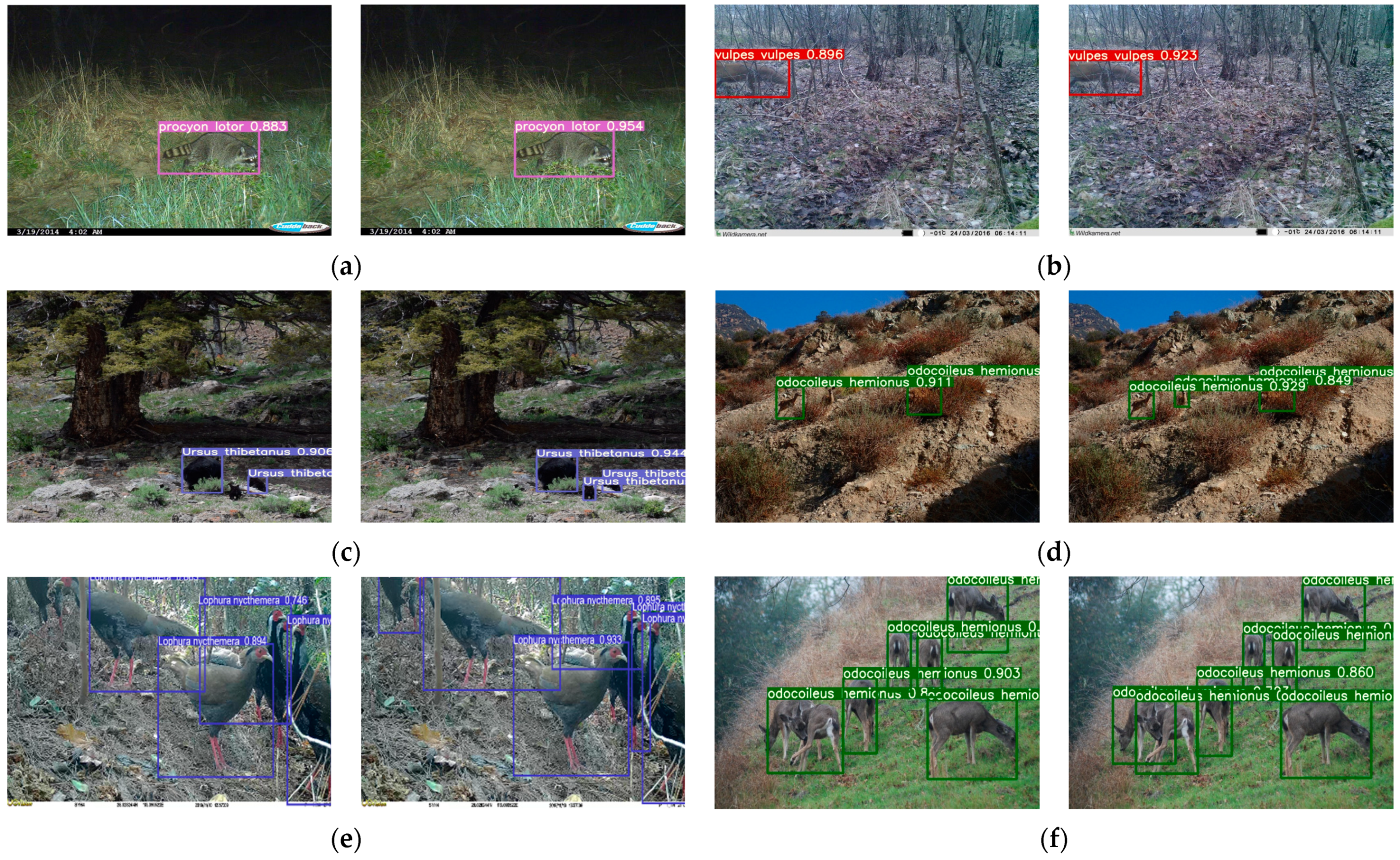 Animals 13 03134 g008