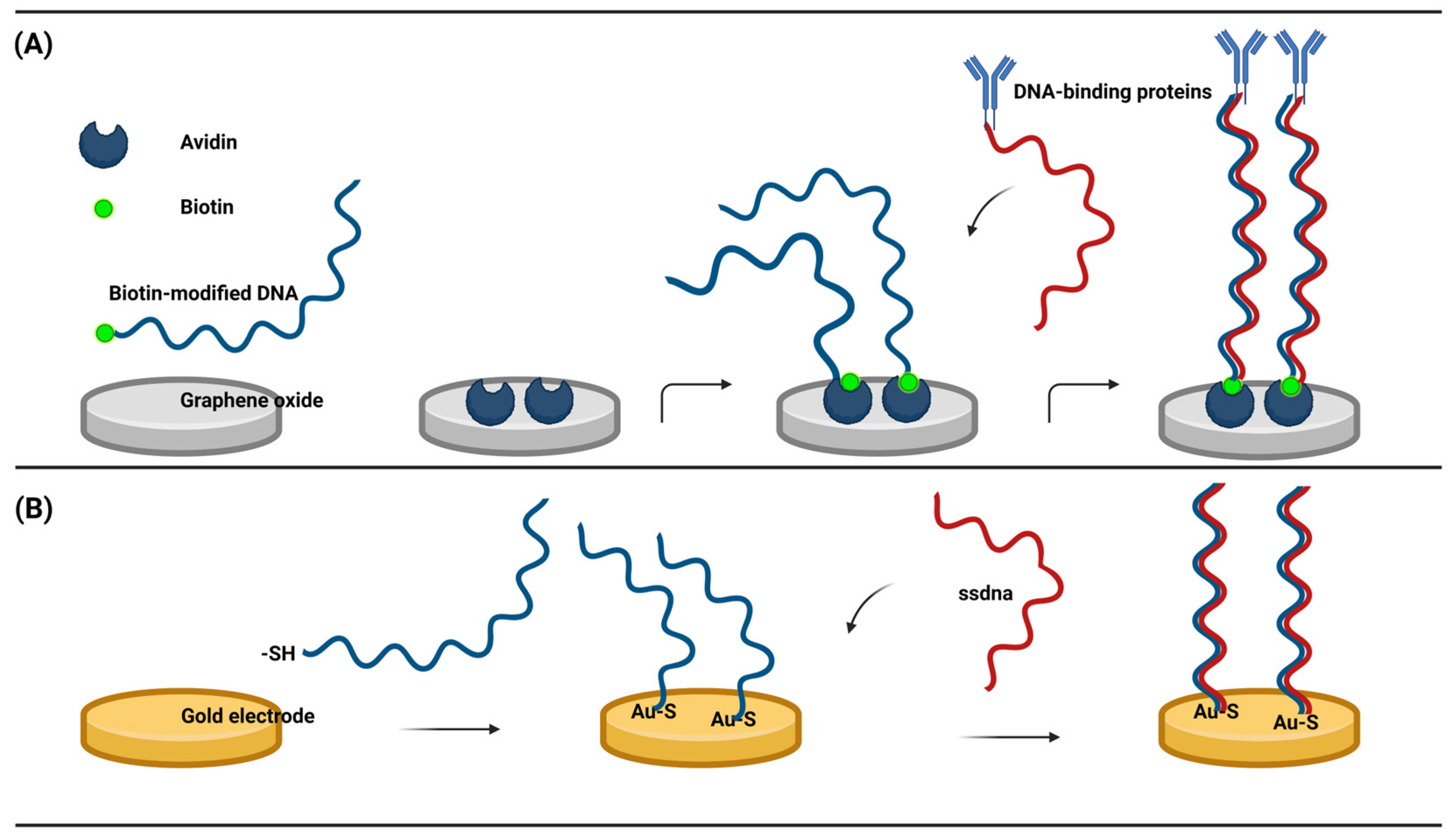 Animals 13 03141 g003