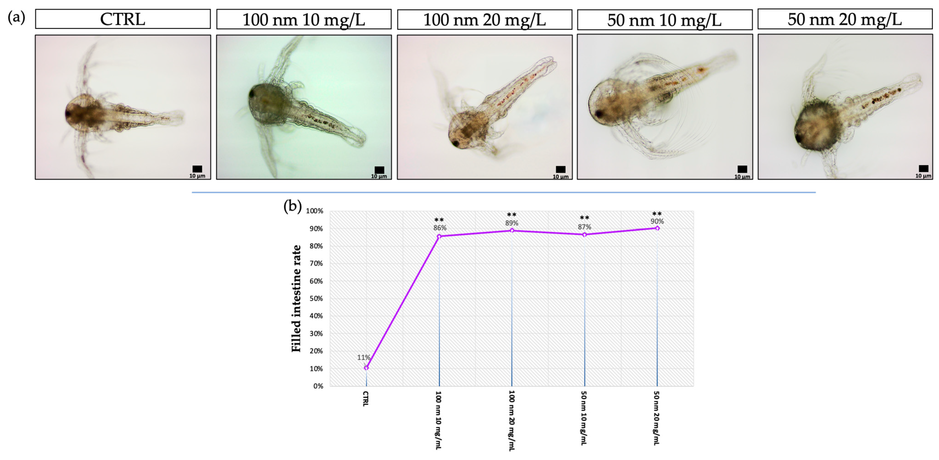 Animals 13 03152 g002