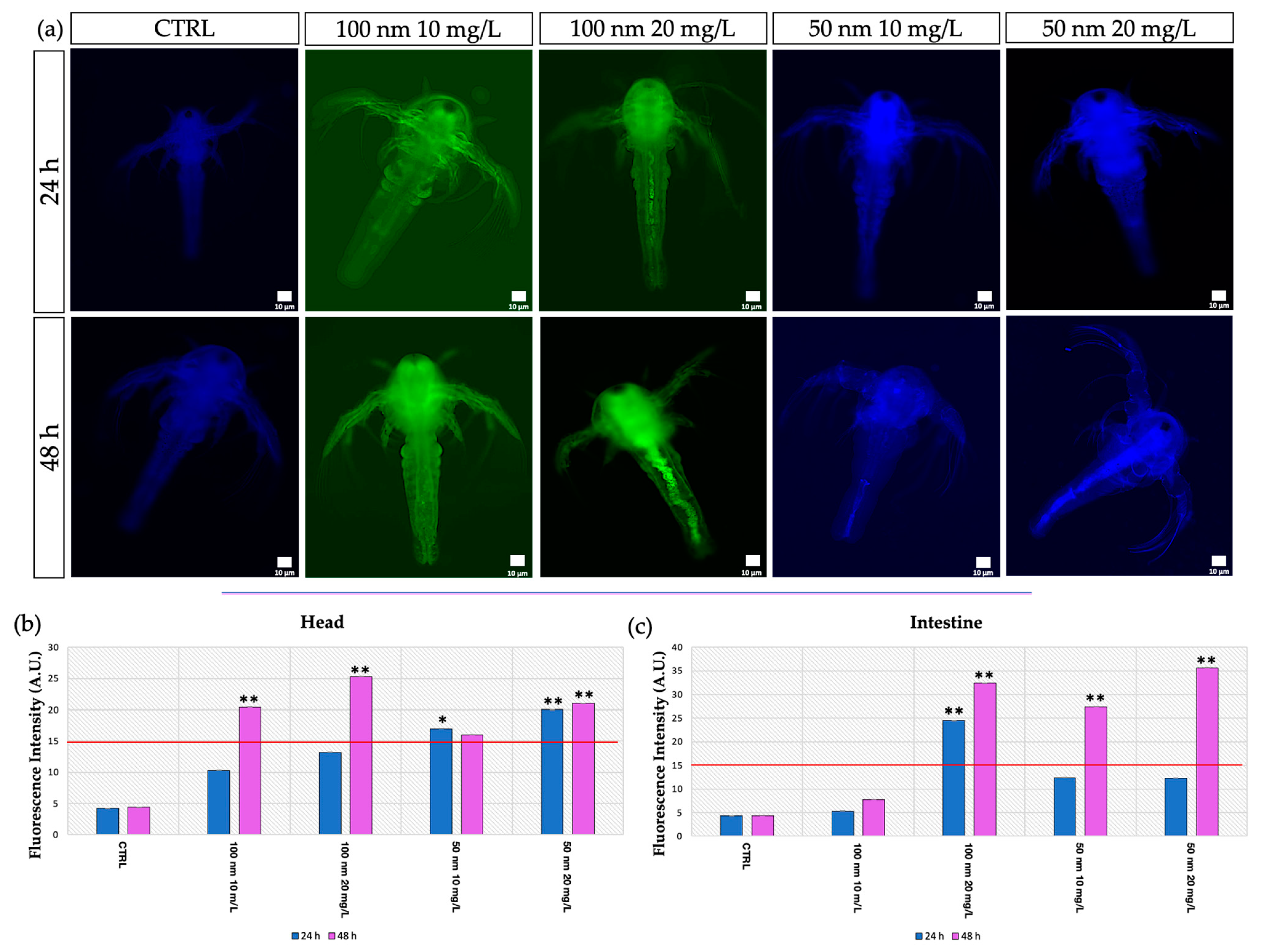 Animals 13 03152 g003