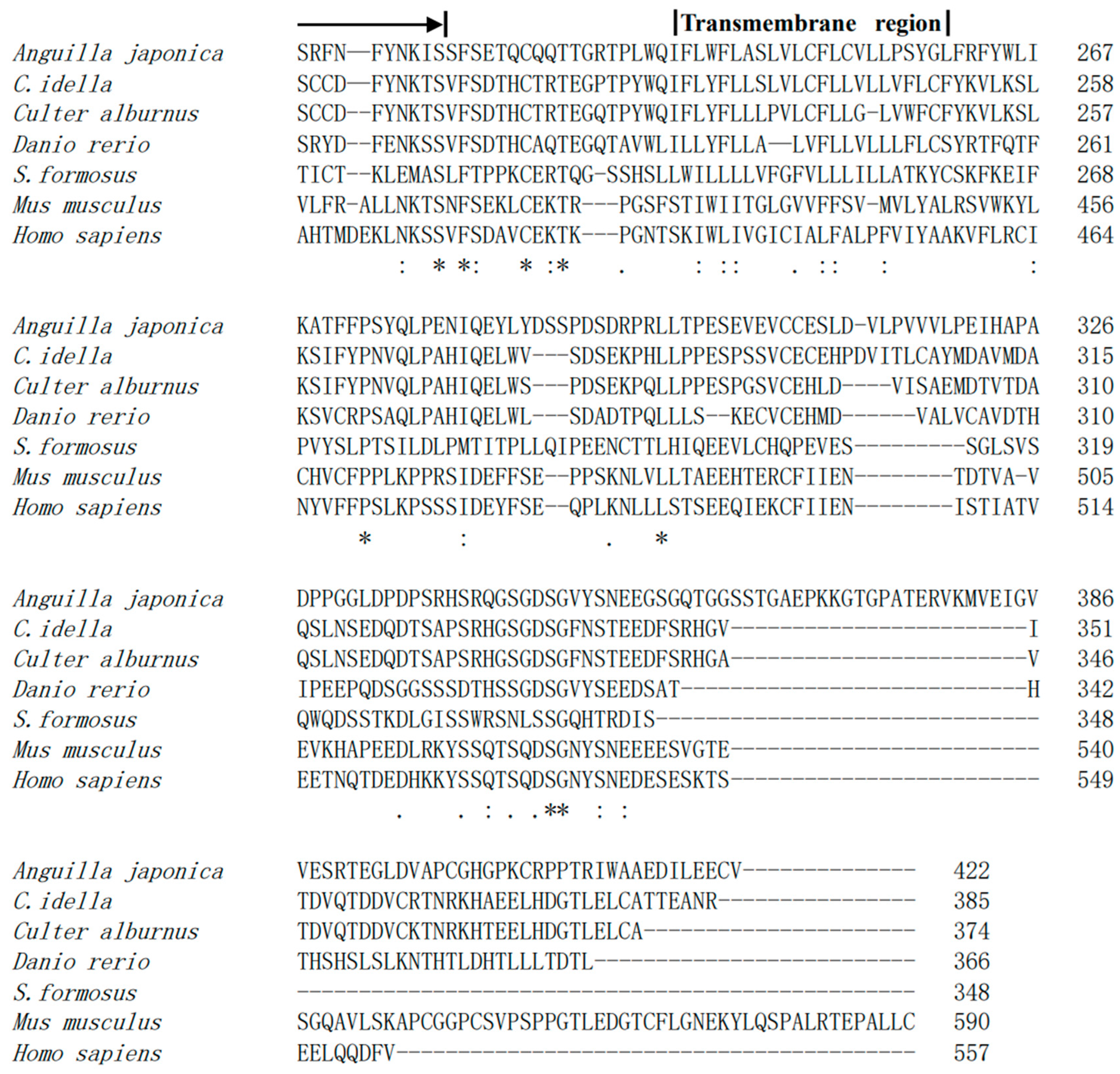 Animals 13 03157 g002b