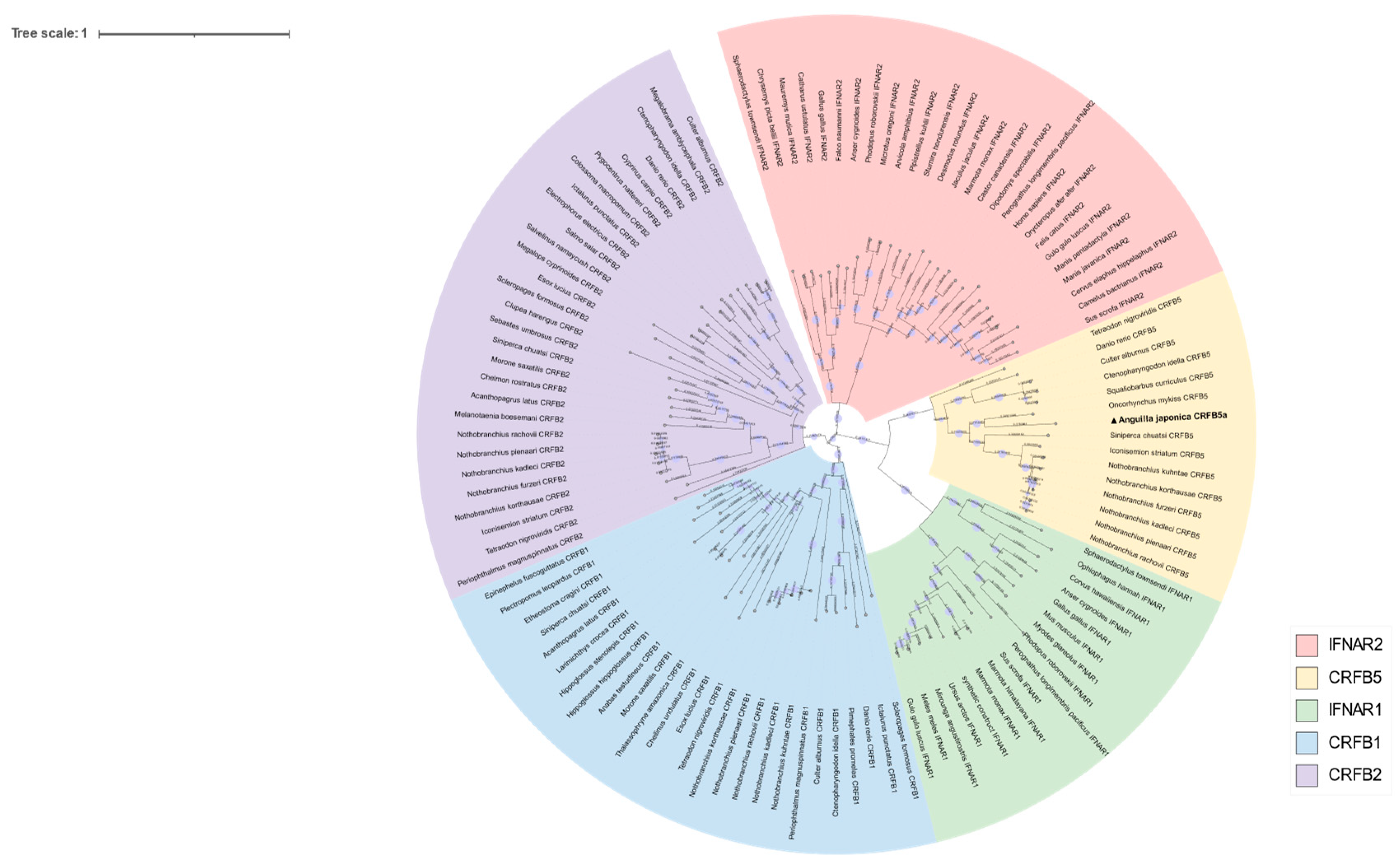 Animals 13 03157 g004