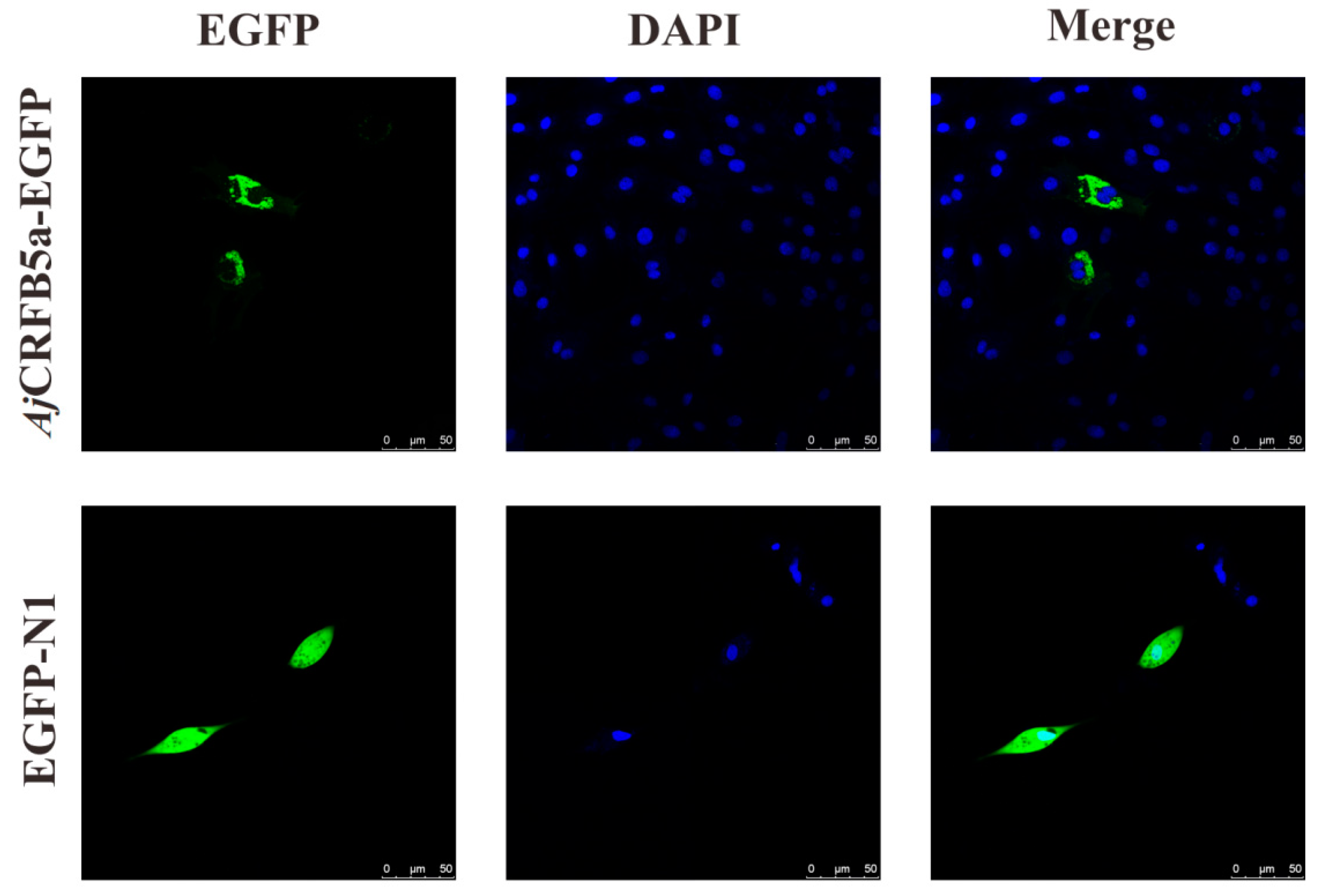 Animals 13 03157 g005