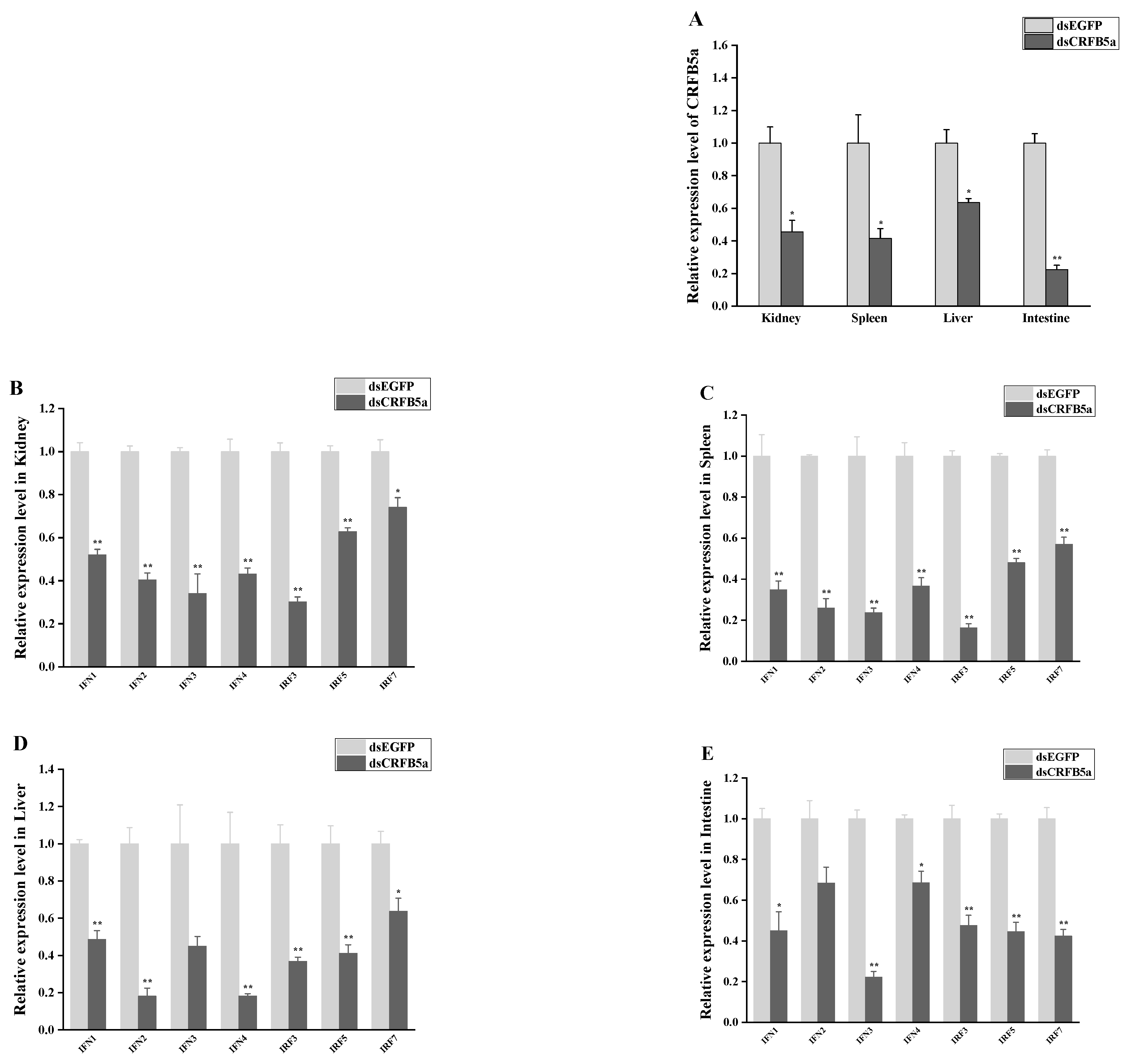 Animals 13 03157 g012