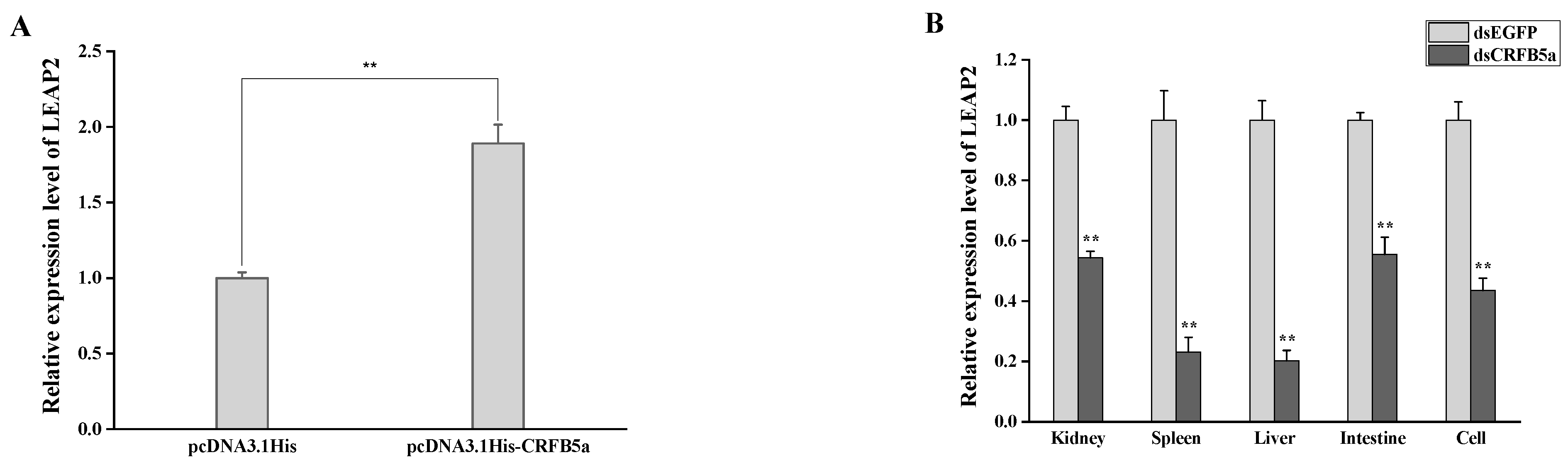 Animals 13 03157 g013