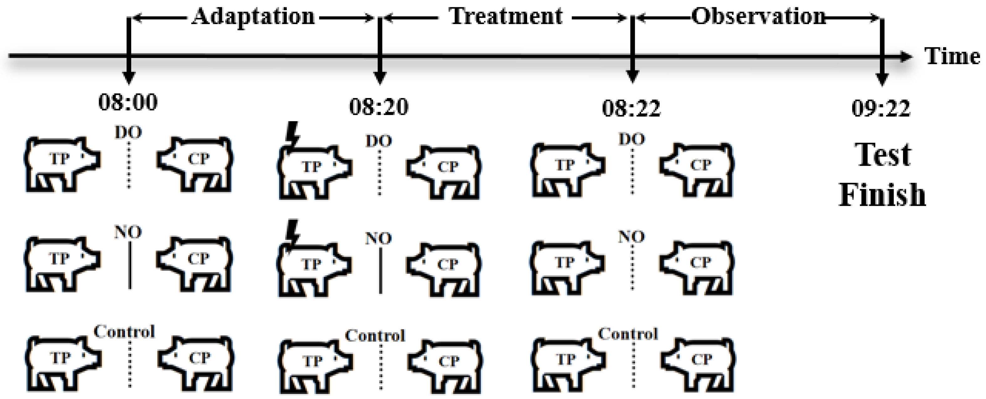Animals 13 03160 g001