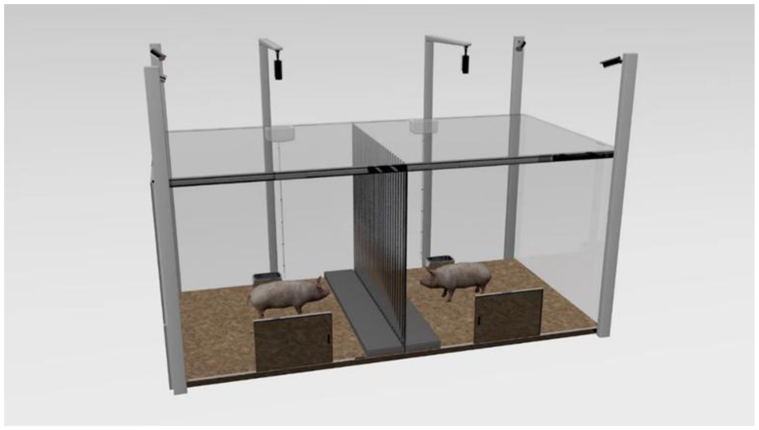 Animals 13 03160 g002