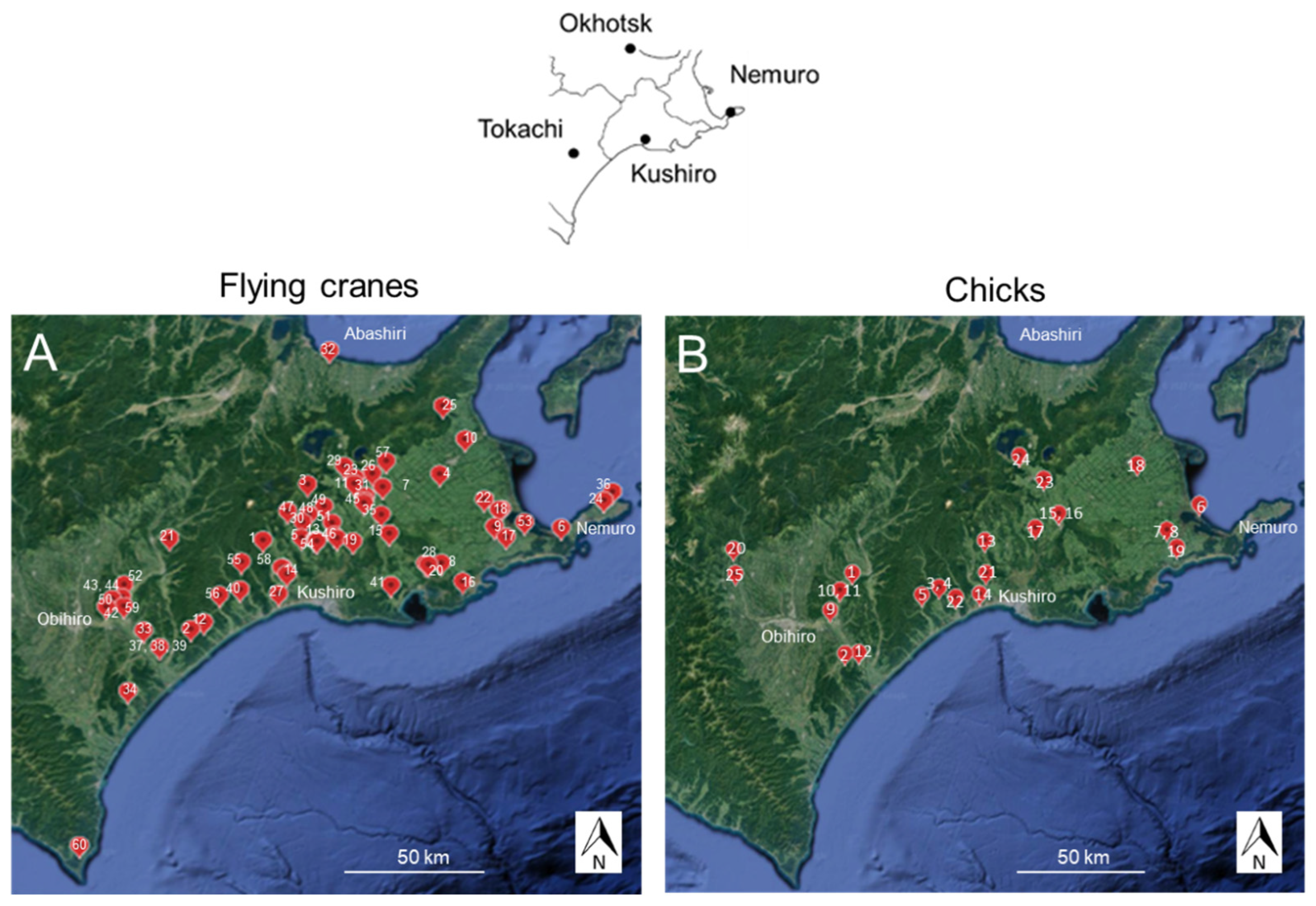 Animals 13 03167 g001