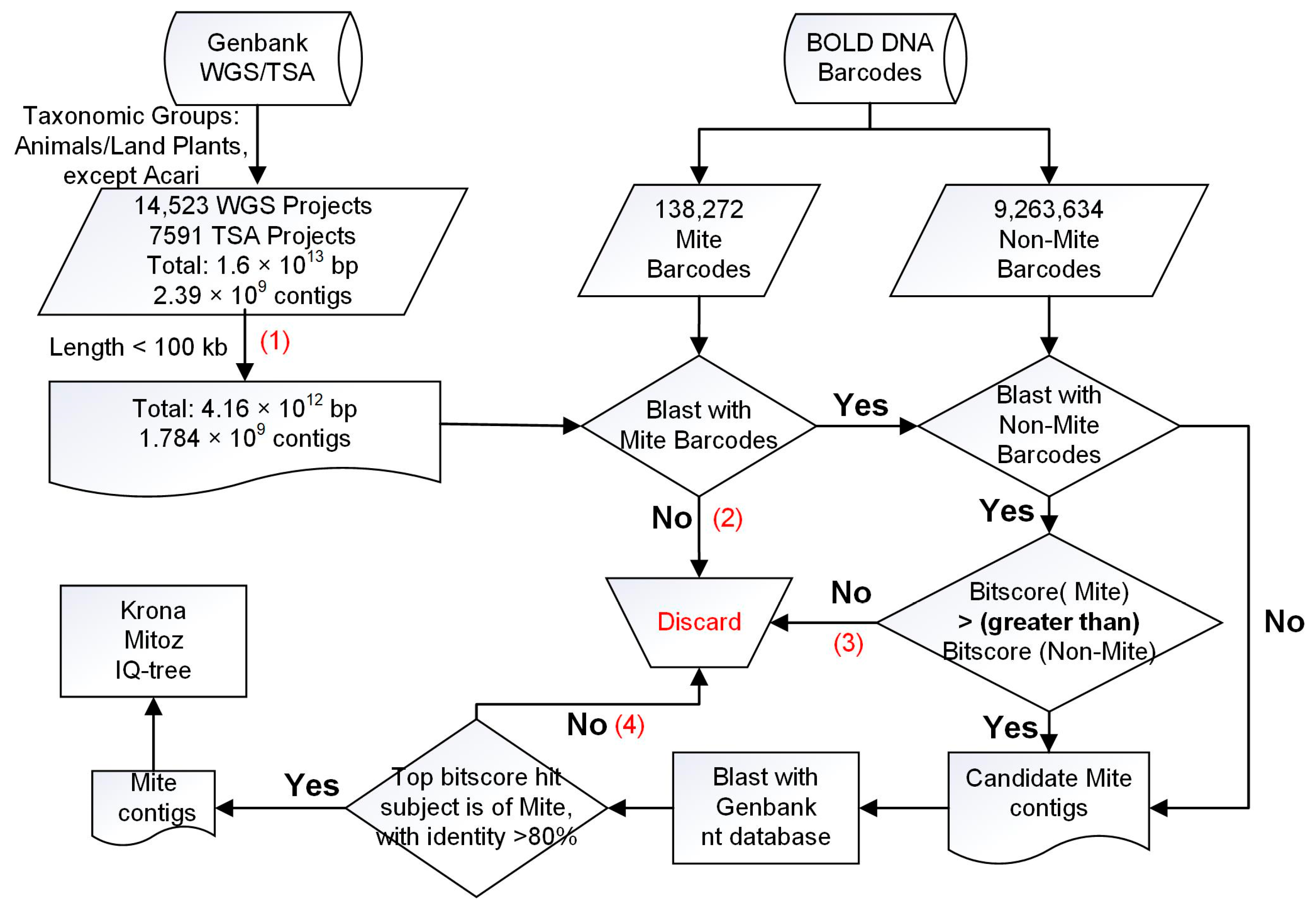 Animals 13 03172 g001