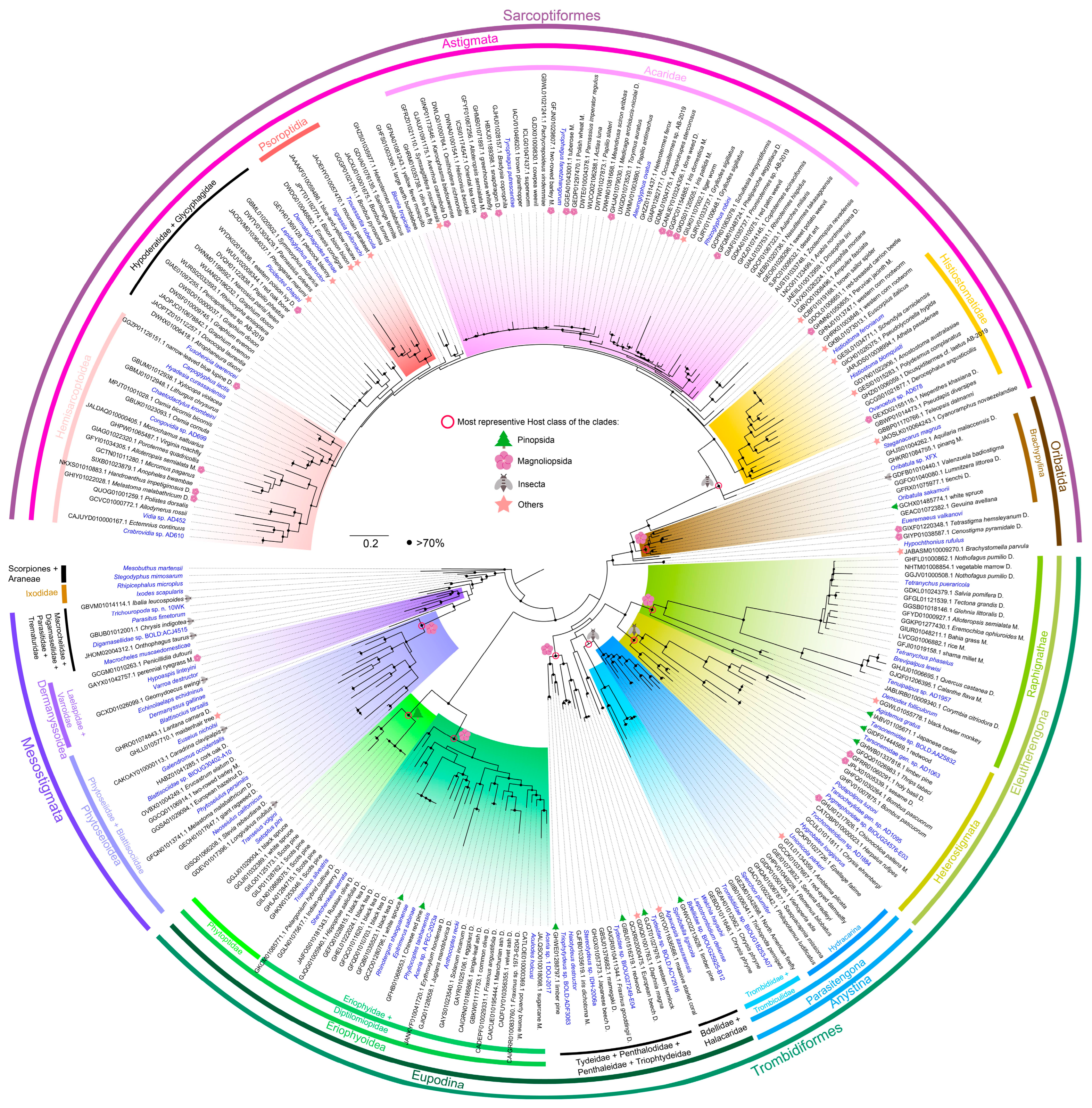 Animals 13 03172 g004