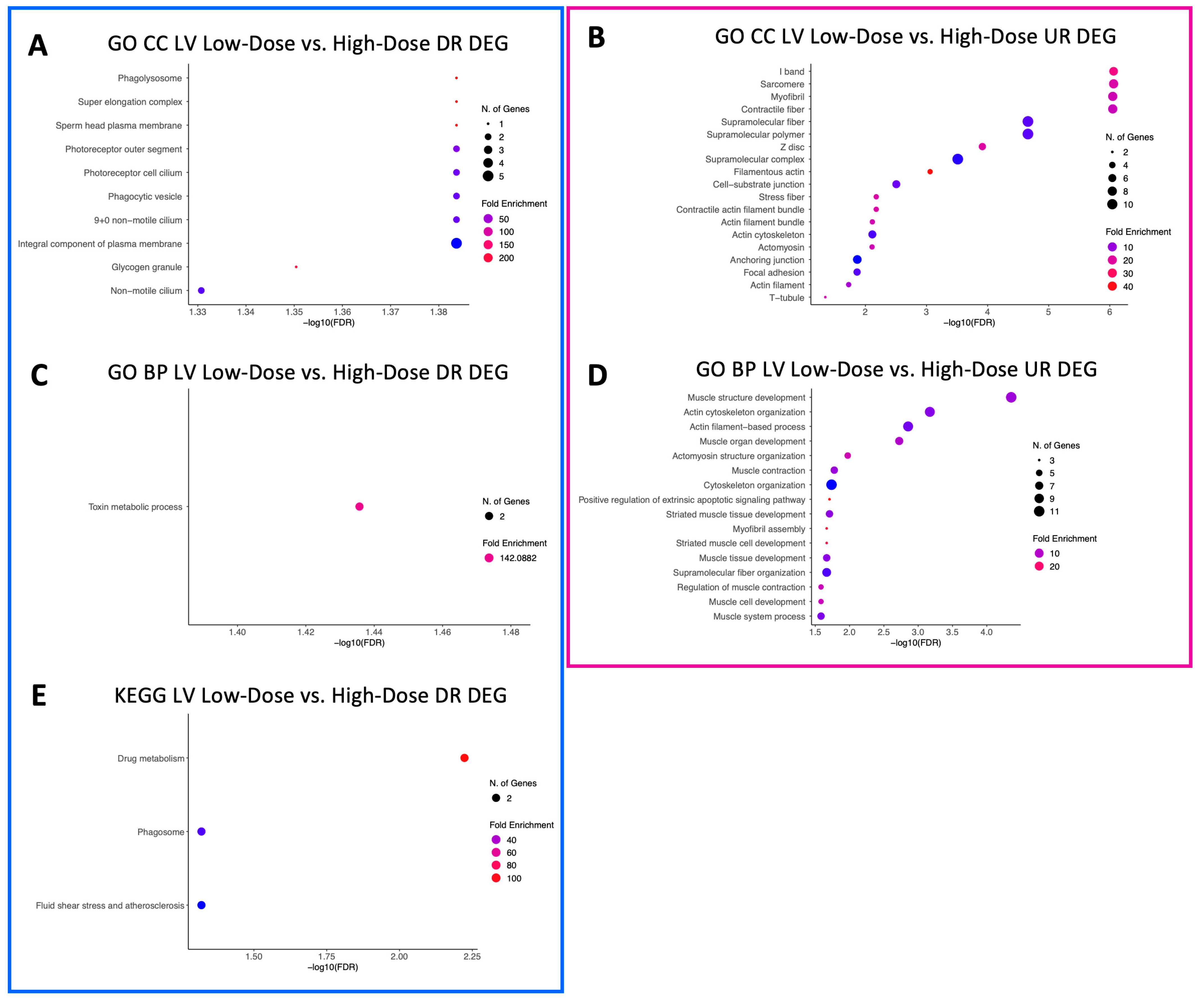 Animals 13 03184 g005