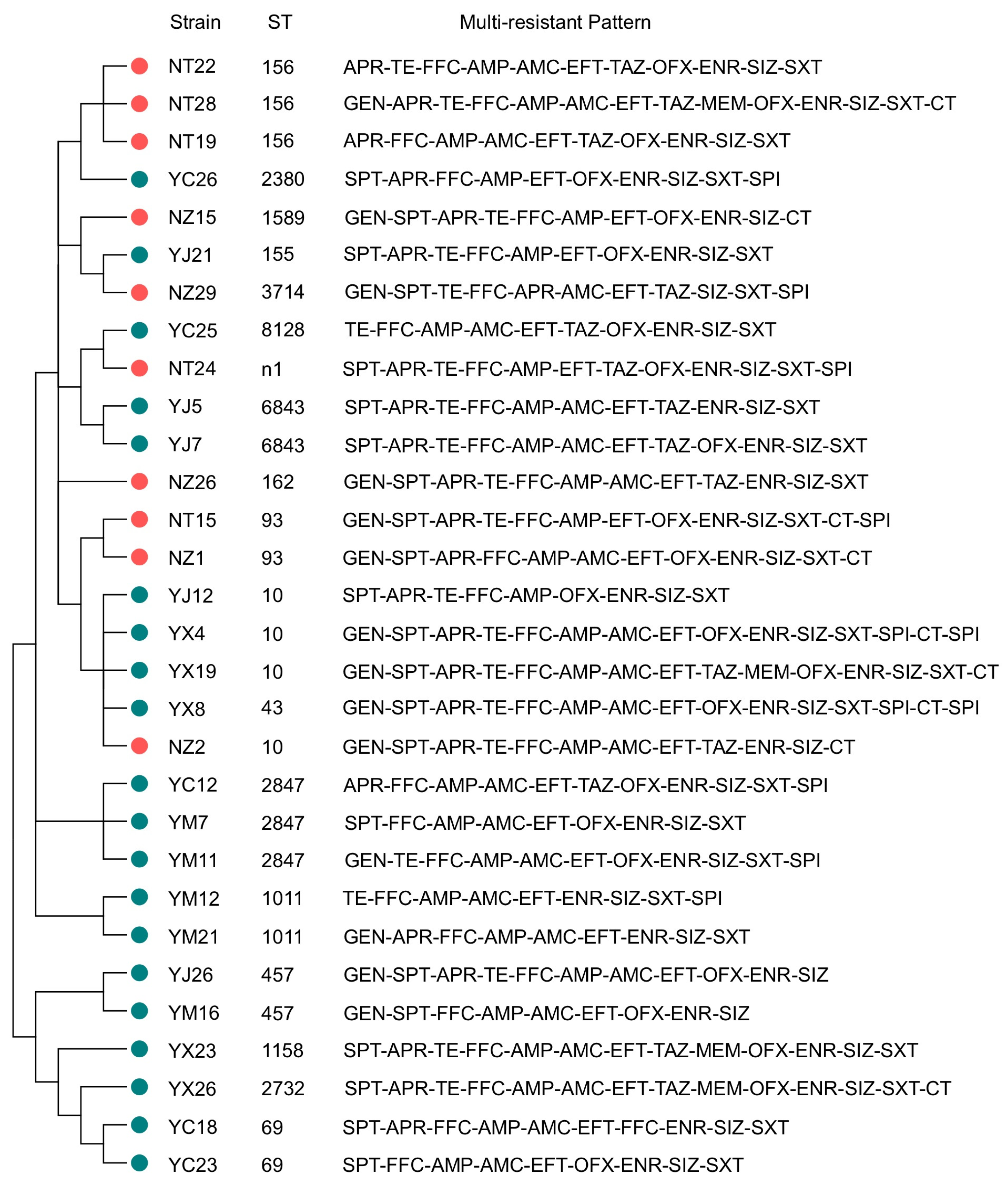 Animals 13 03194 g005