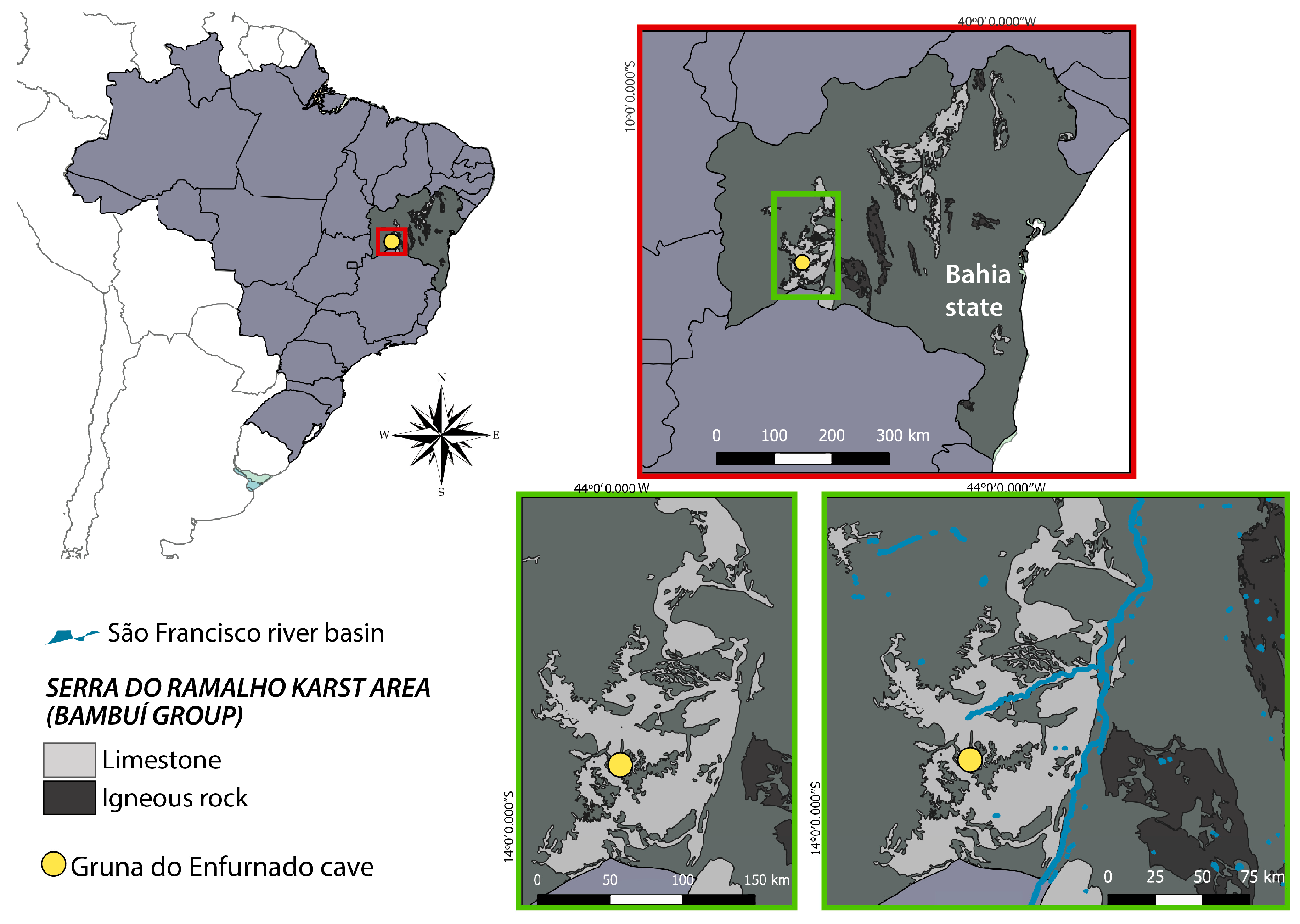 Animals 13 03199 g001