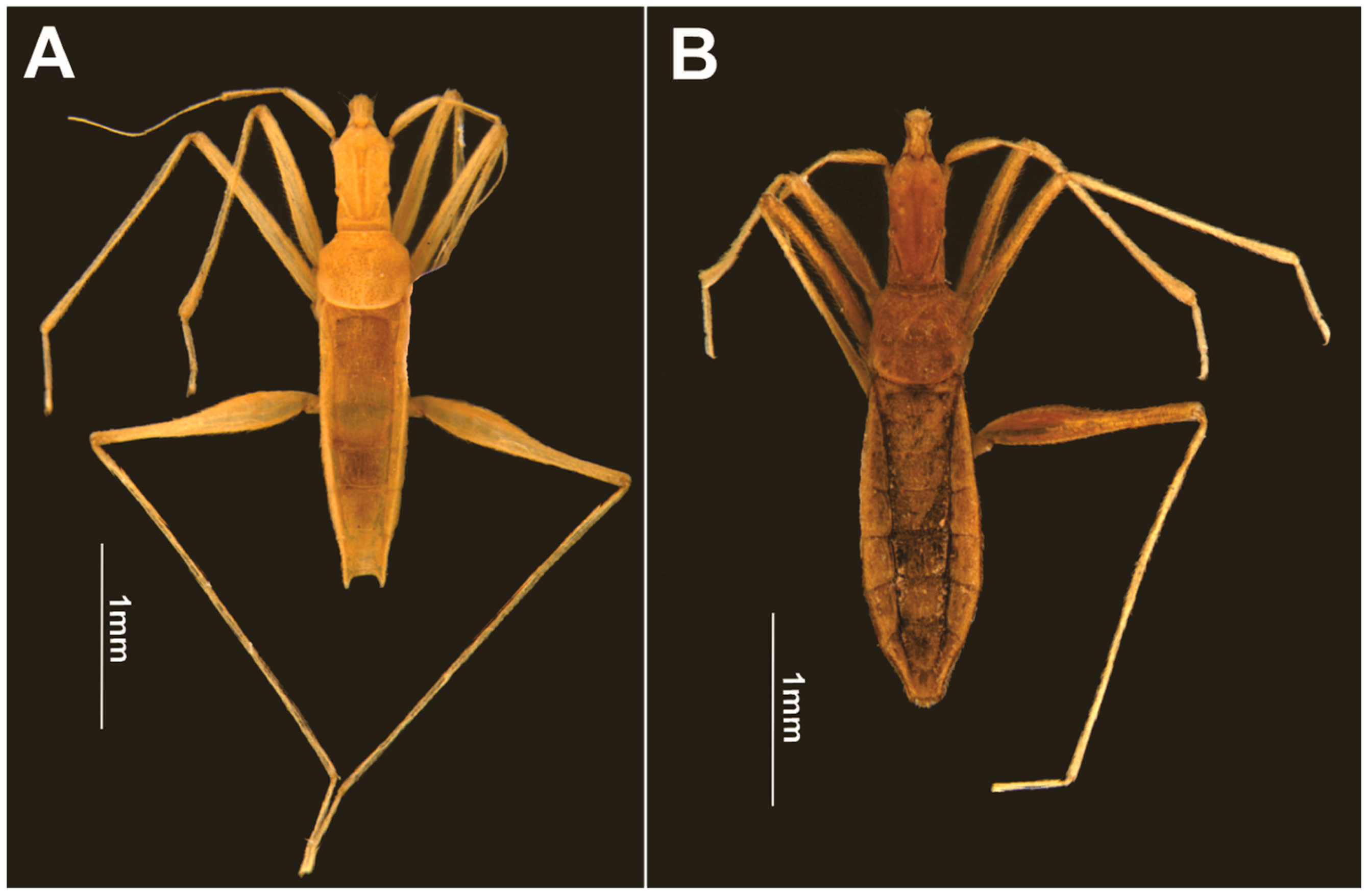 Animals 13 03199 g003