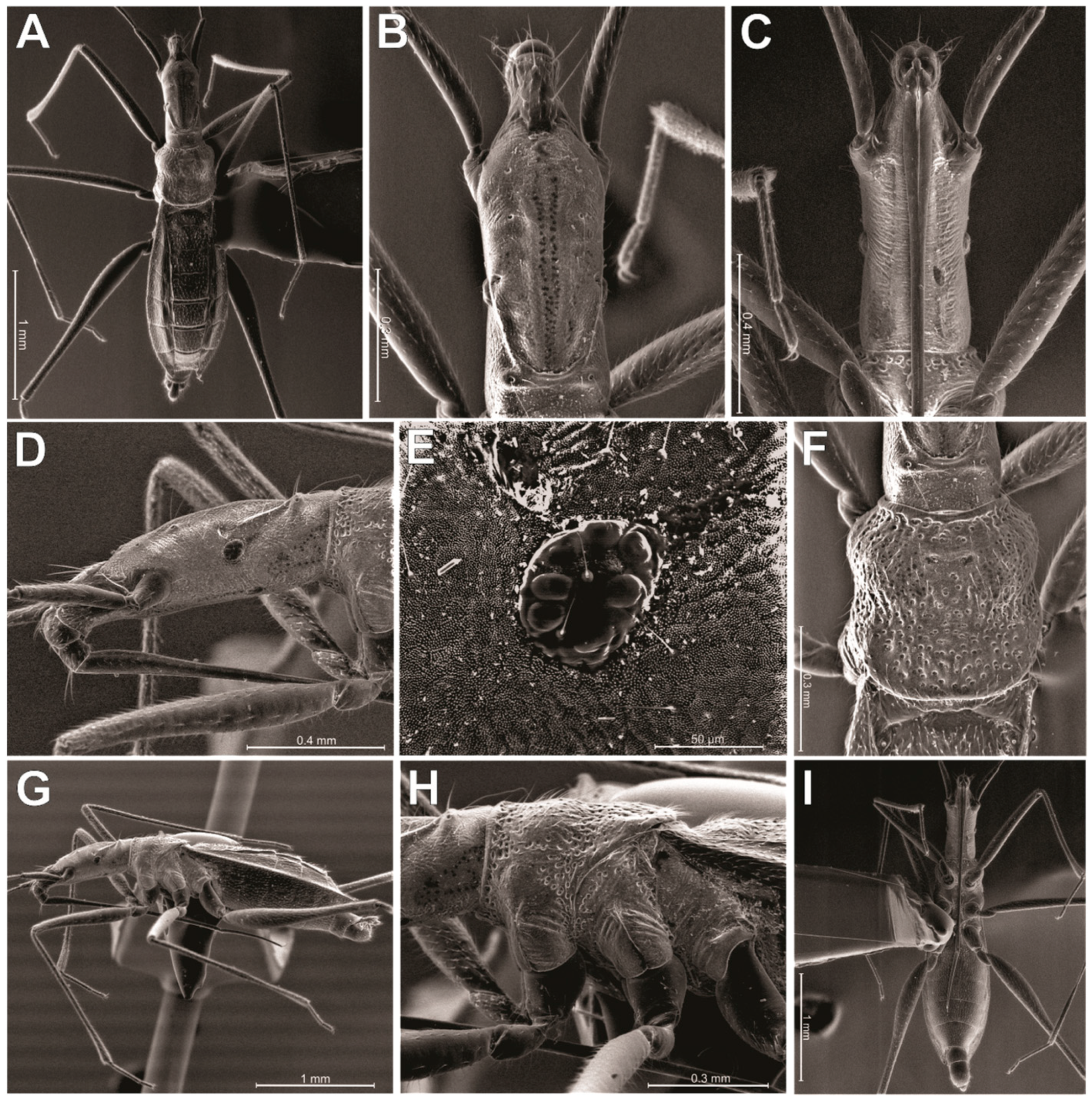 Animals 13 03199 g004