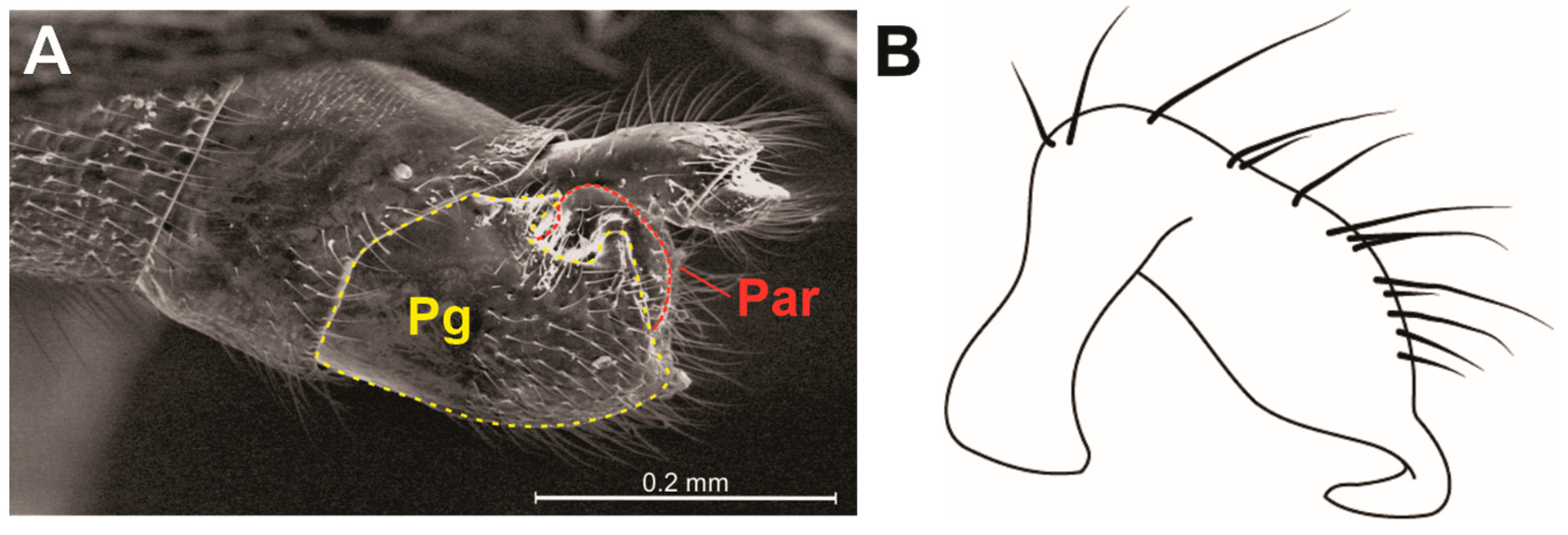 Animals 13 03199 g006