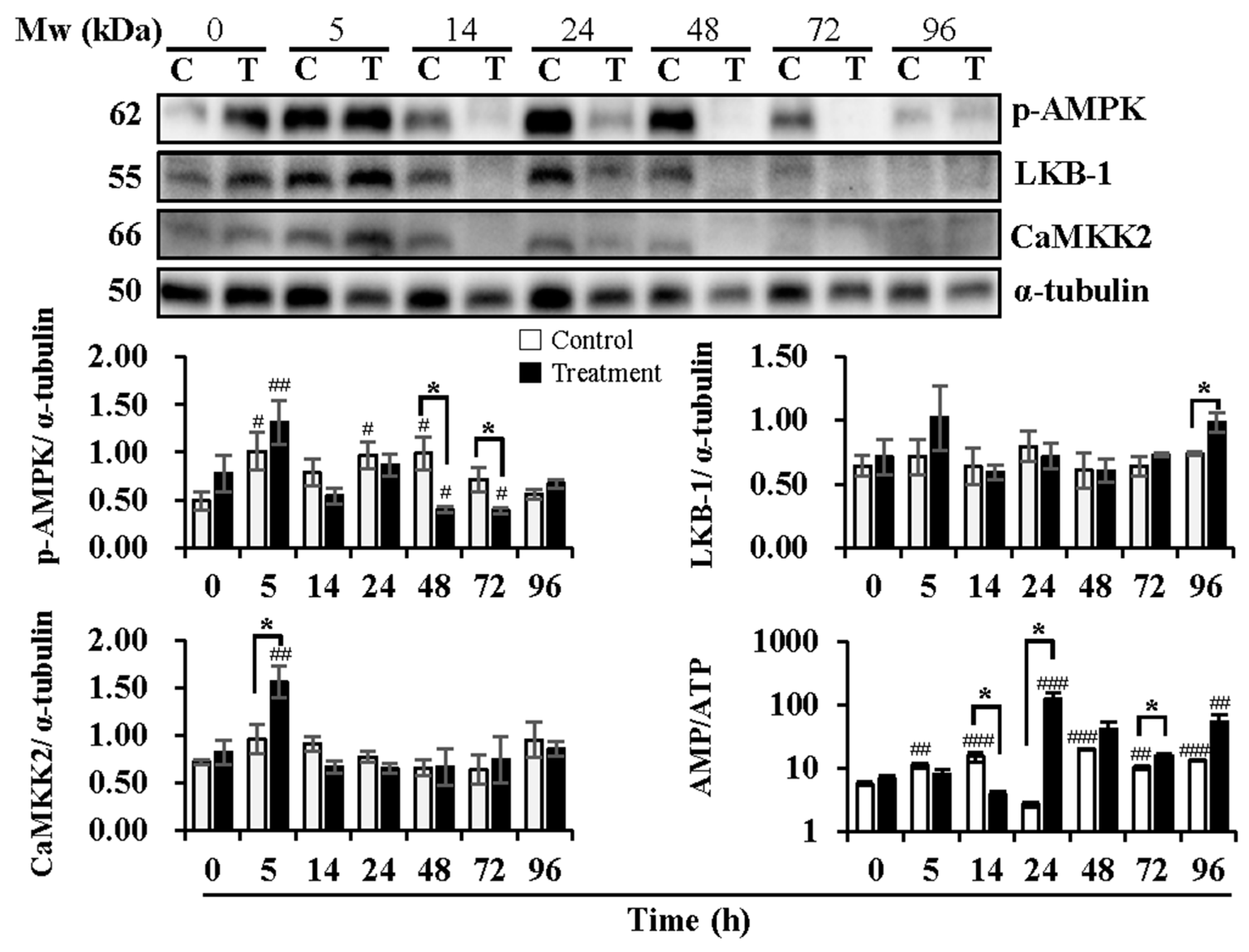 Animals 13 03203 g003