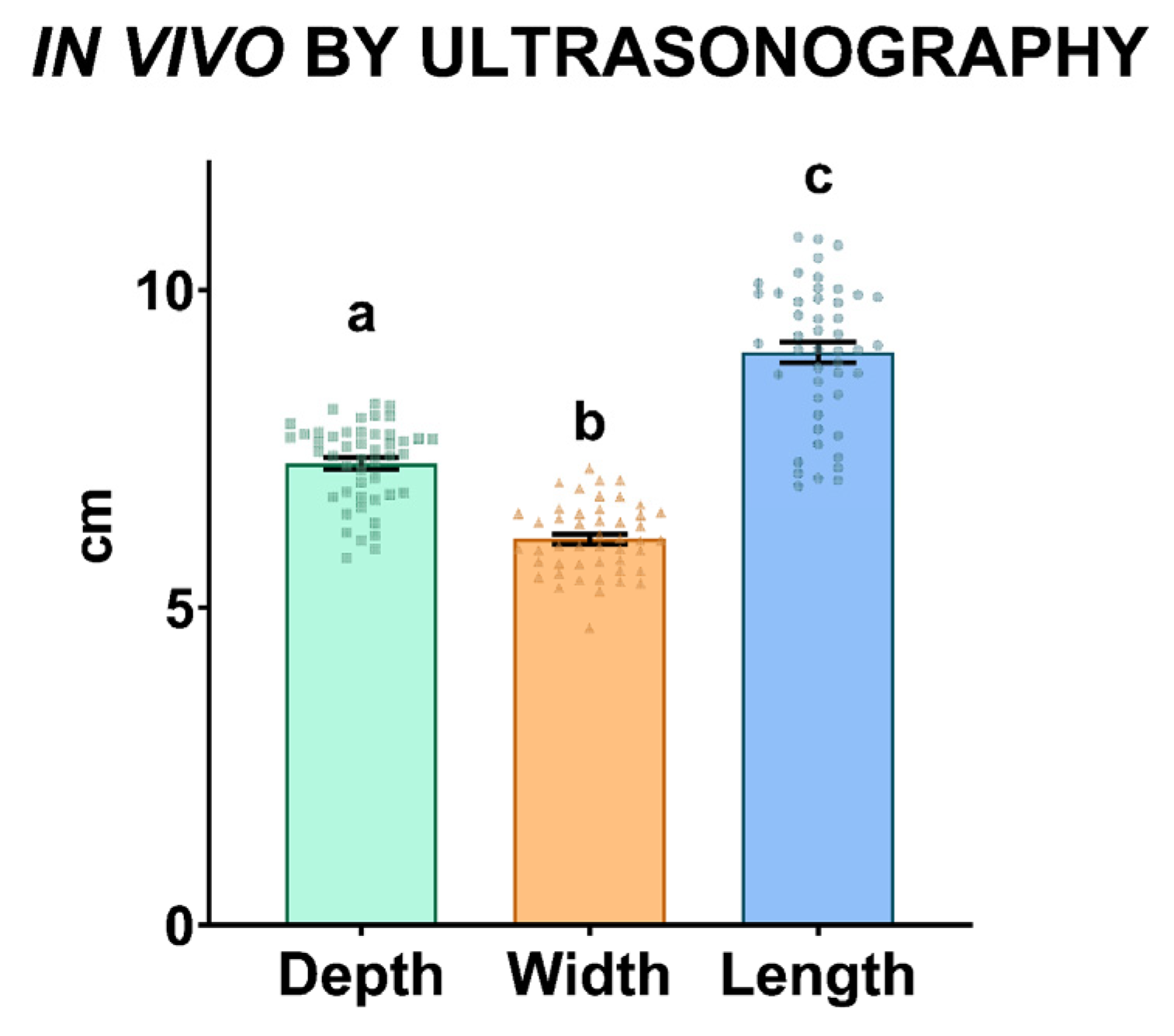 Animals 13 03204 g004
