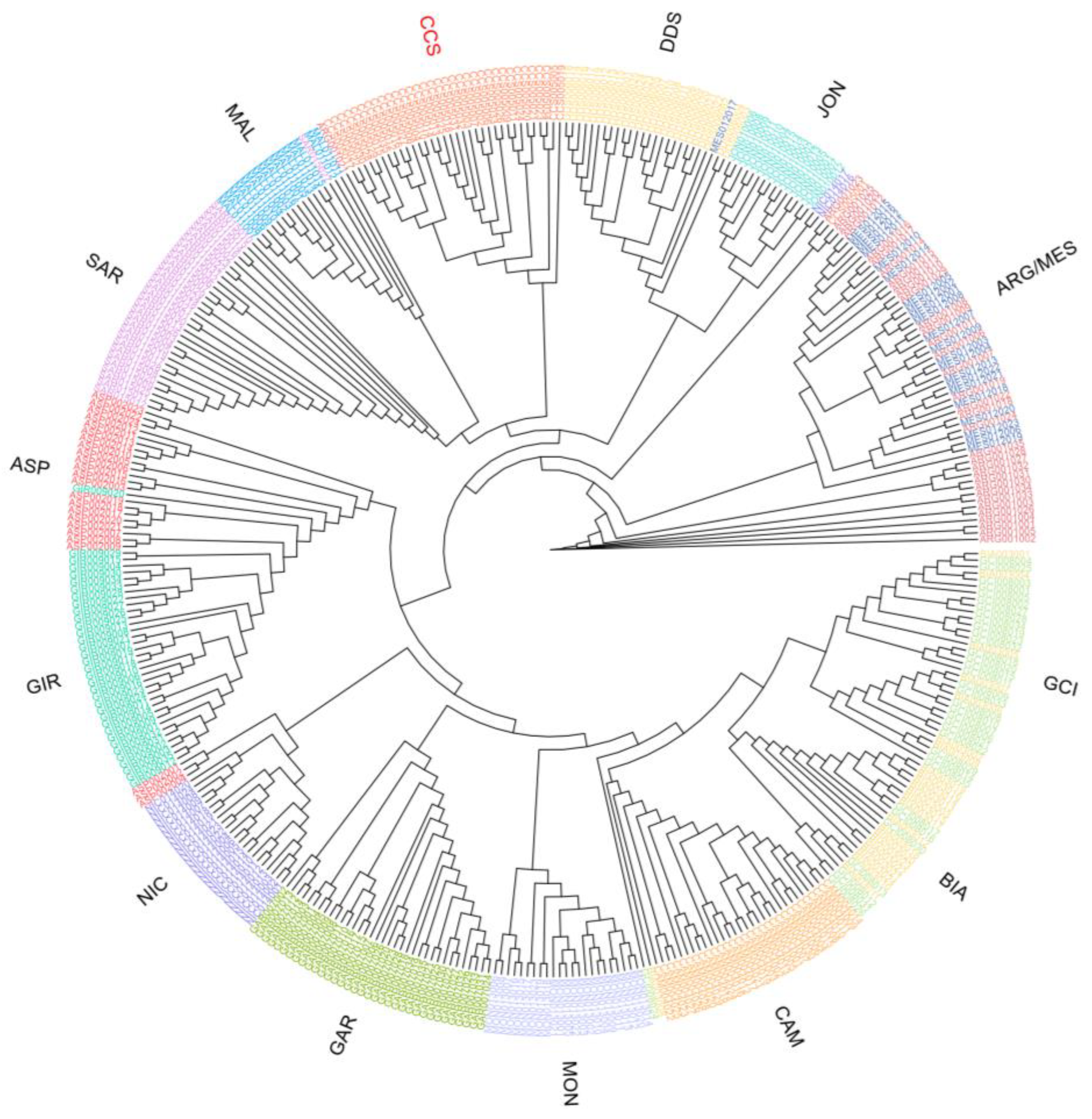 Animals 13 03207 g004