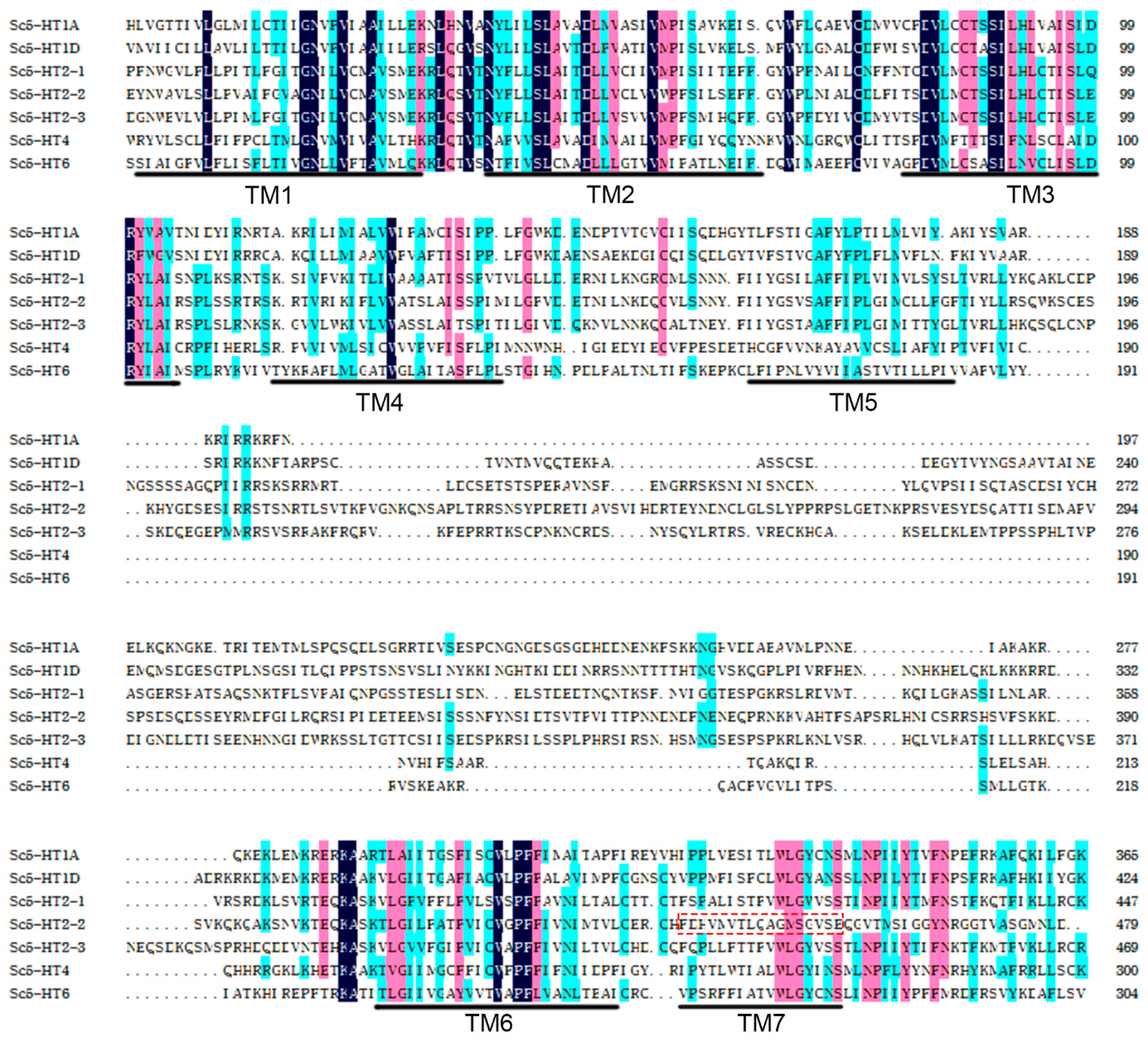 Animals 13 03208 g001