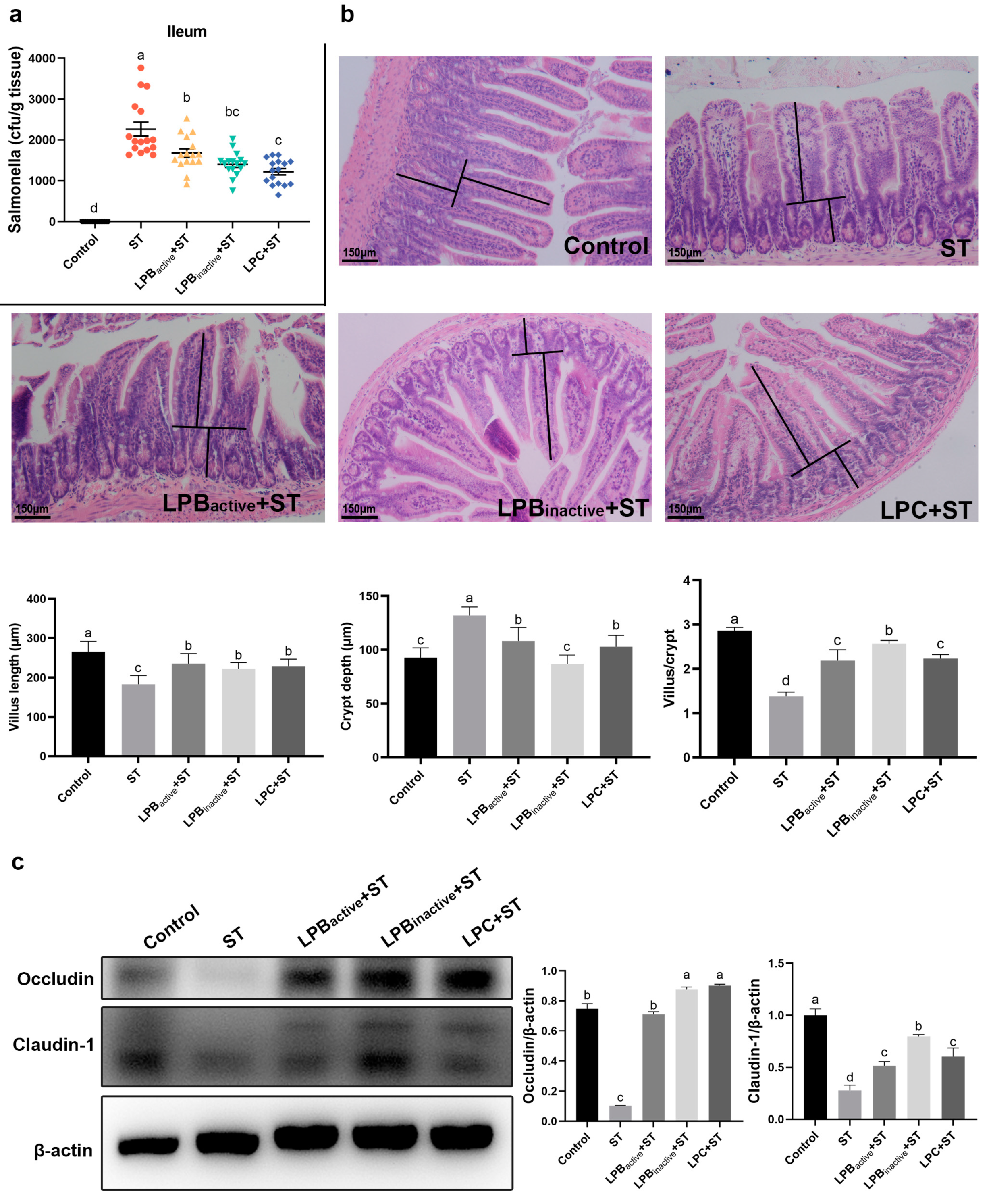 Animals 13 03215 g003