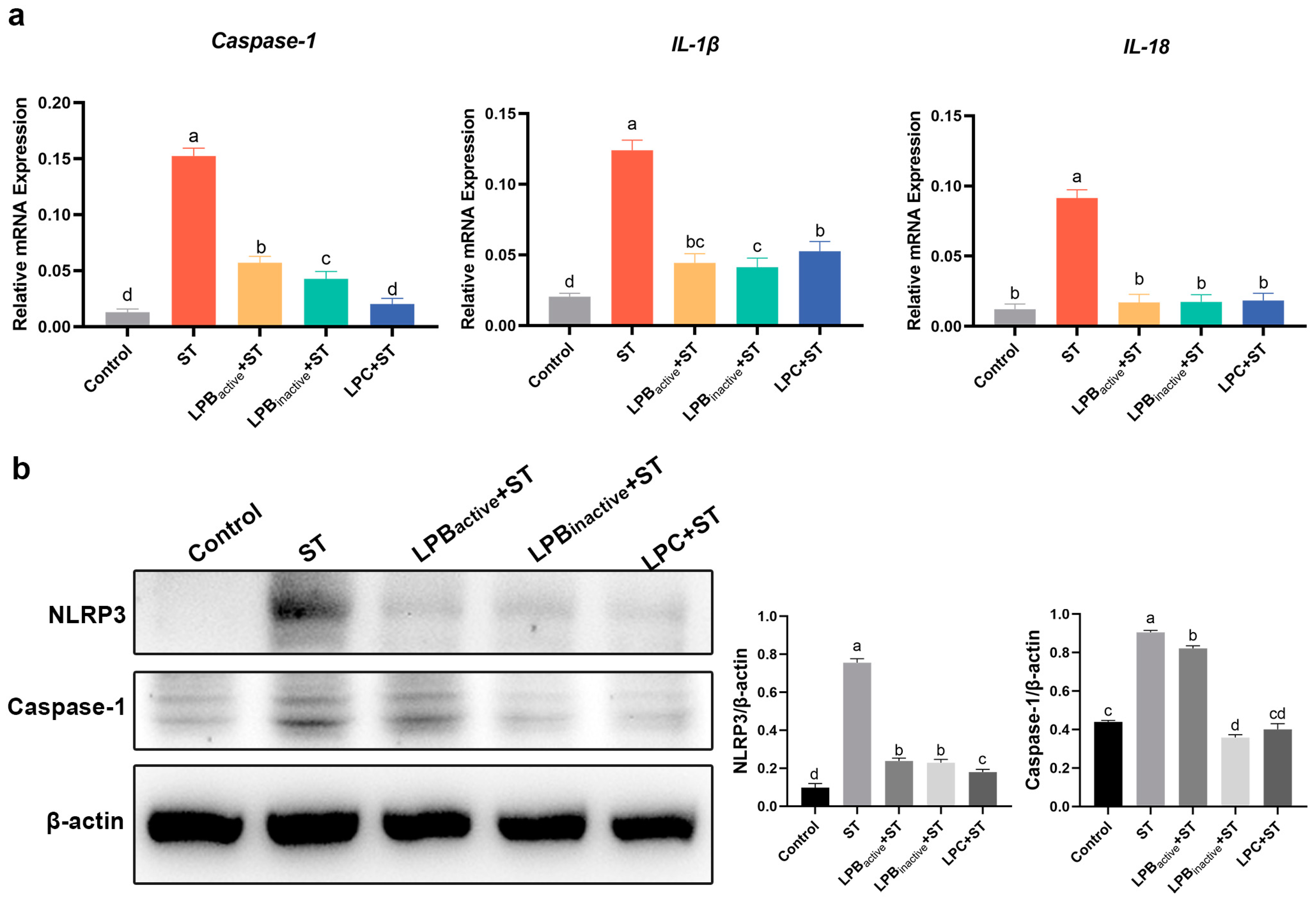 Animals 13 03215 g005
