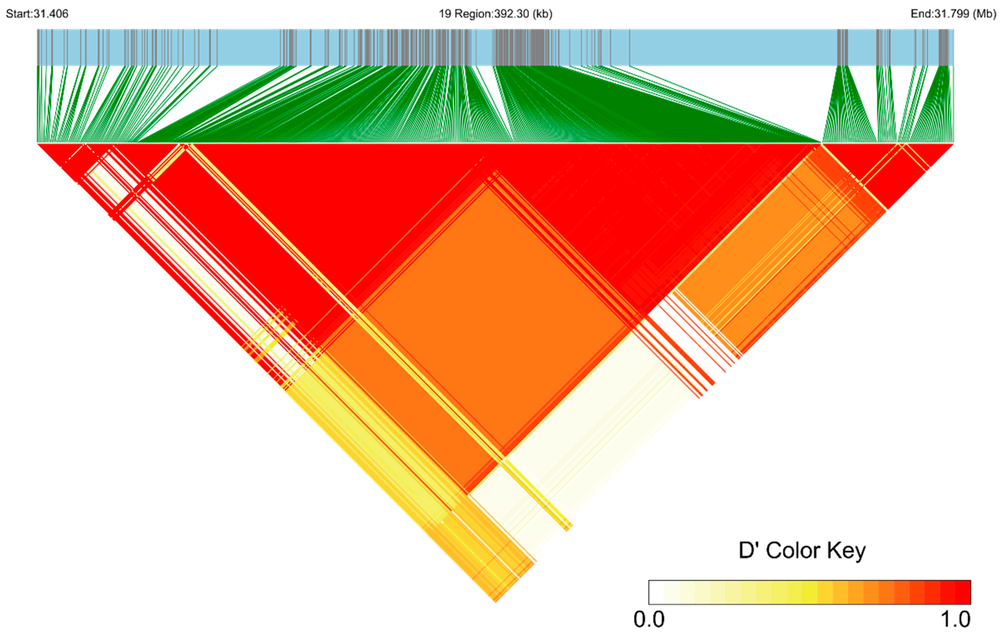 Animals 13 03218 g003