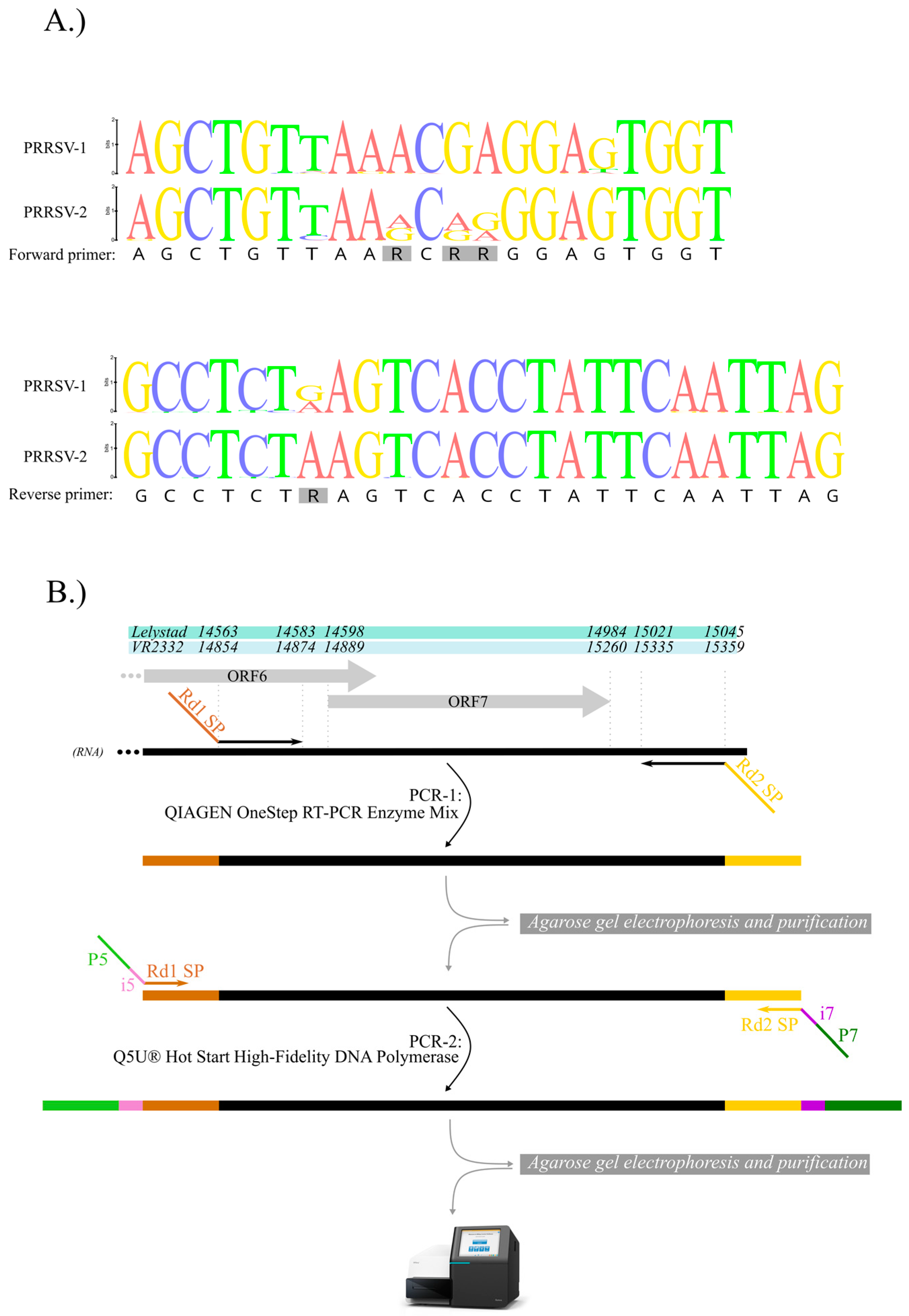 Animals 13 03223 g001