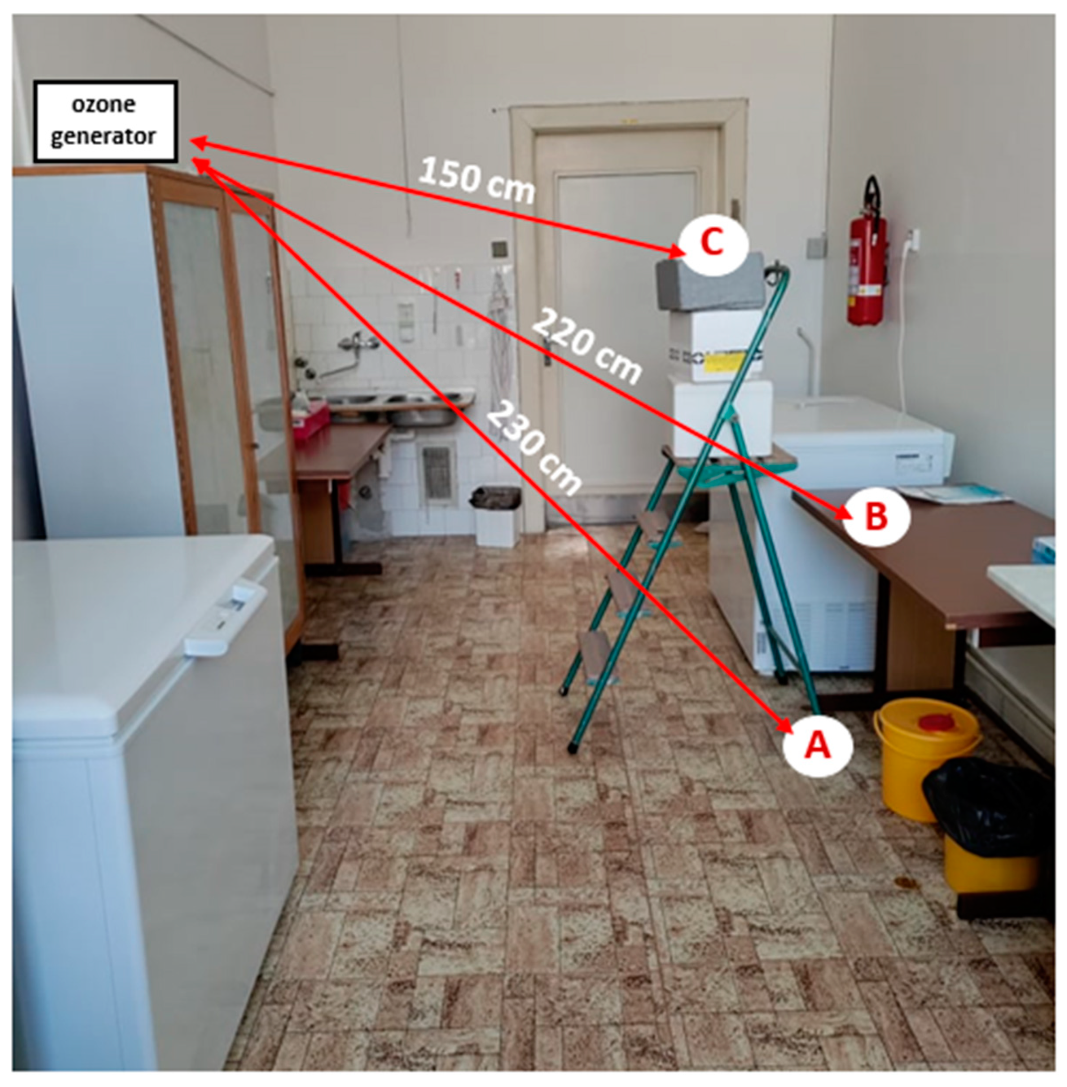 Animals 13 03230 g001