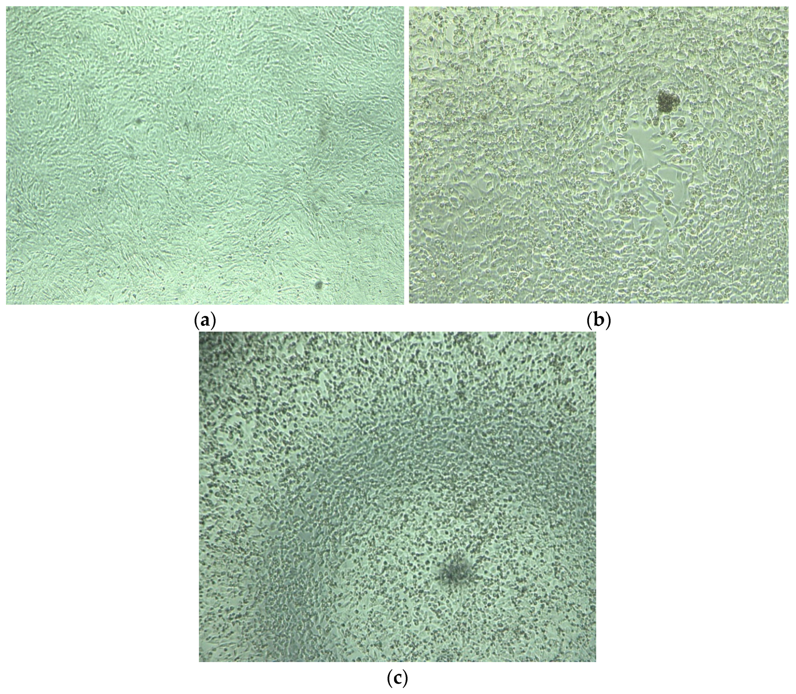 Animals 13 03230 g002