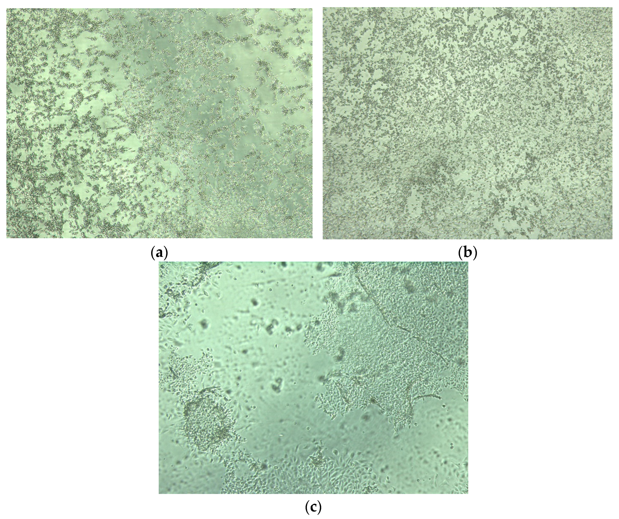 Animals 13 03230 g003