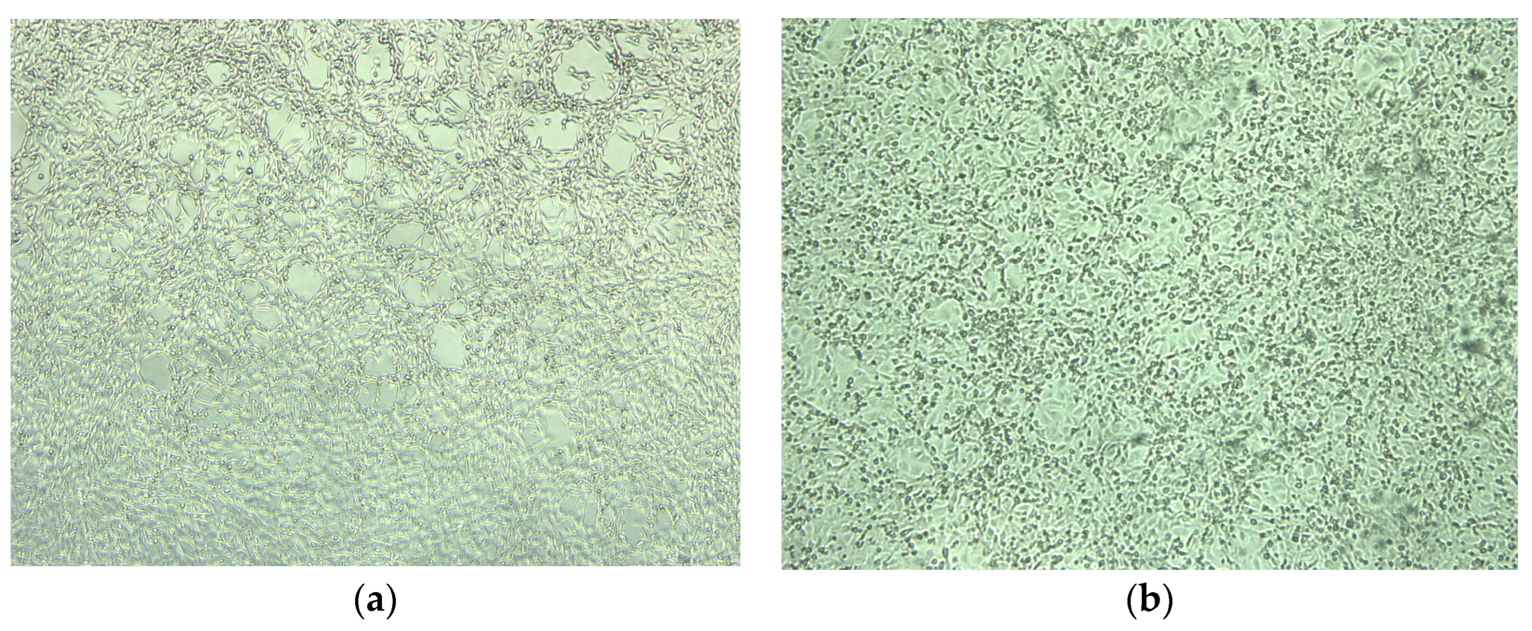 Animals 13 03230 g004