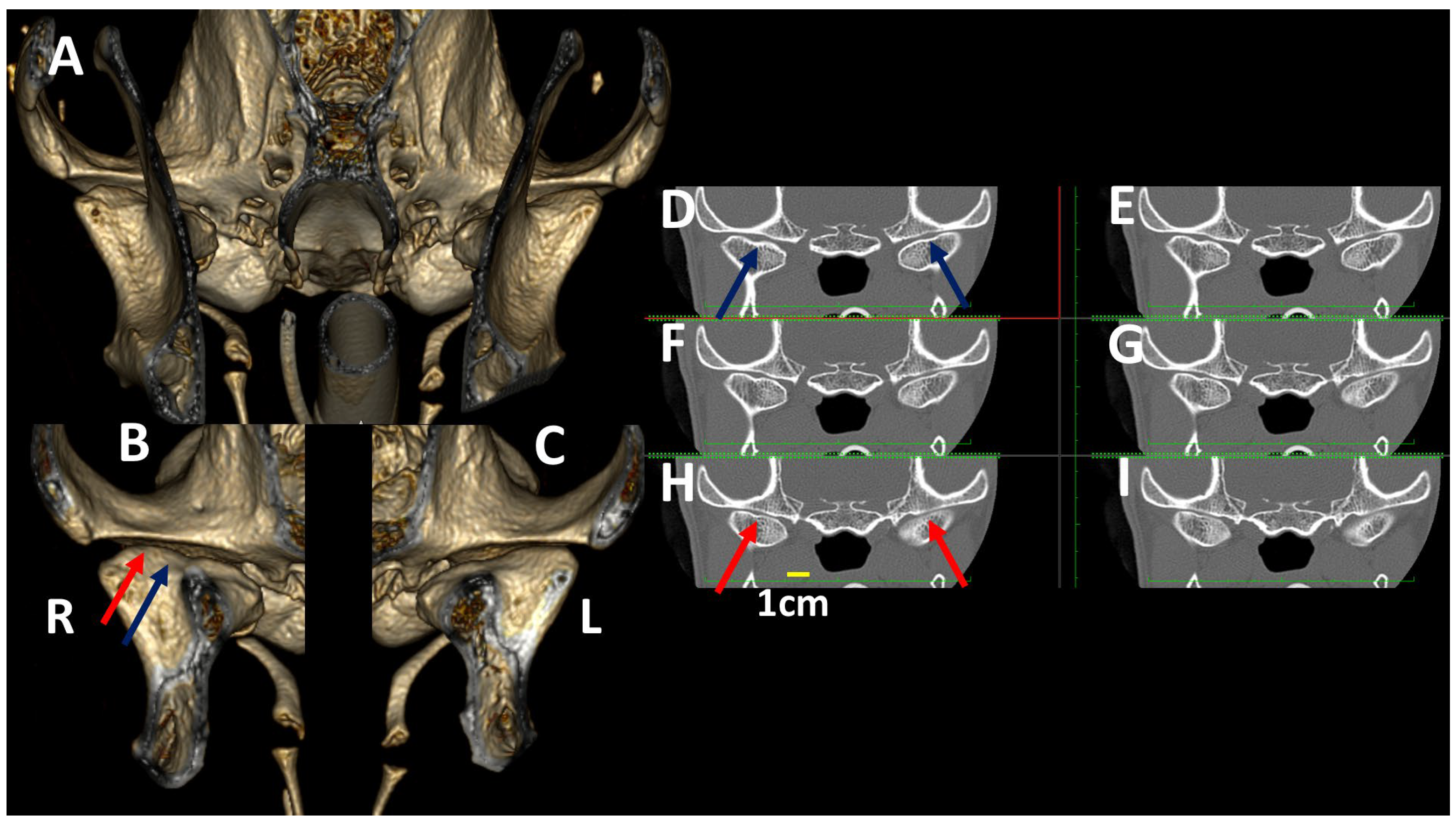 Animals 13 03231 g013