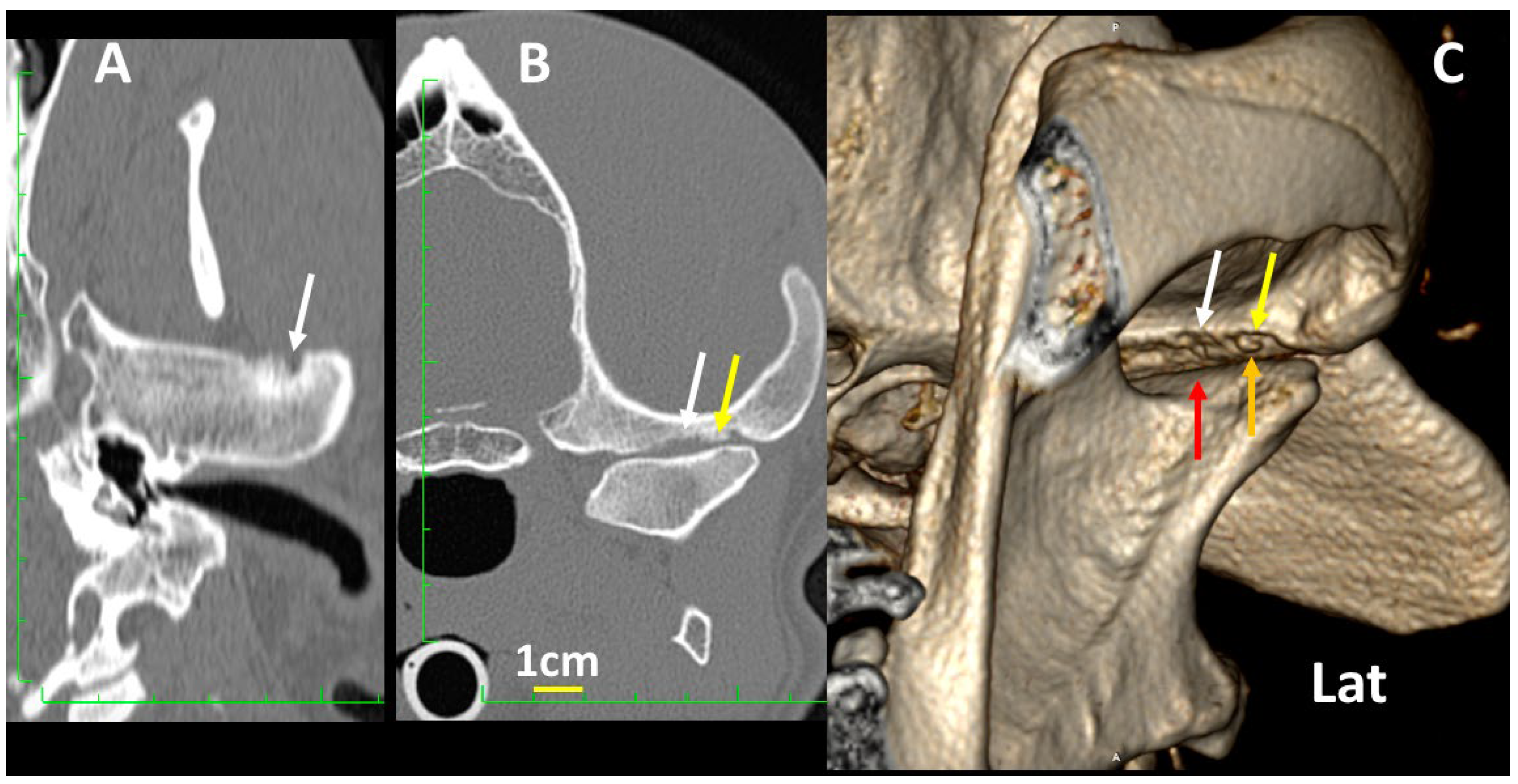 Animals 13 03231 g014
